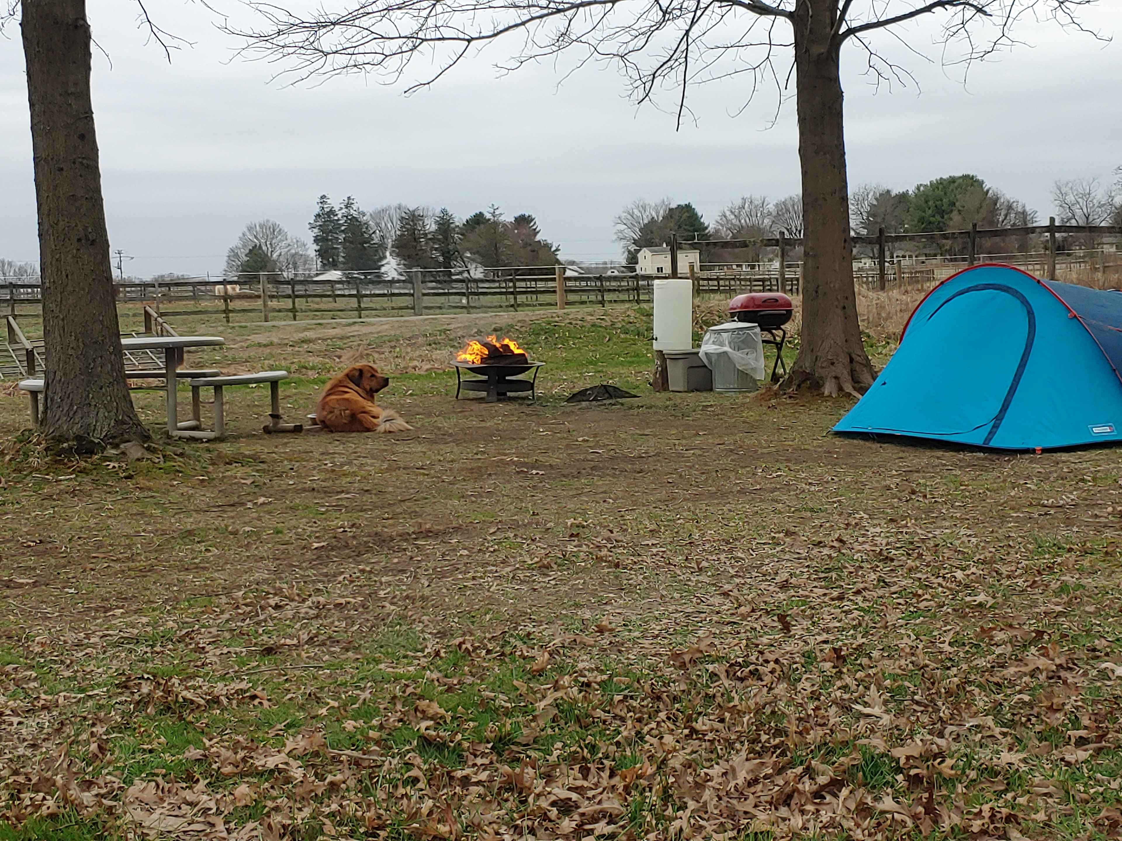 Bellview Farm