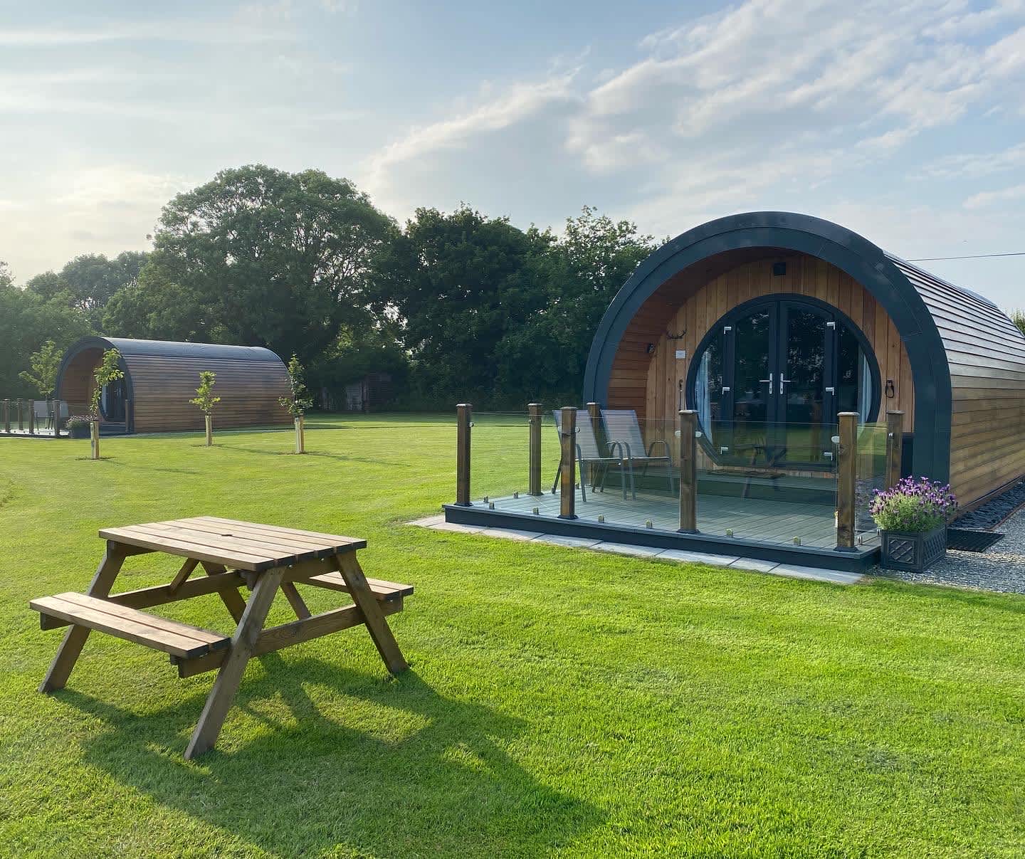 Millview Meadow Glamping