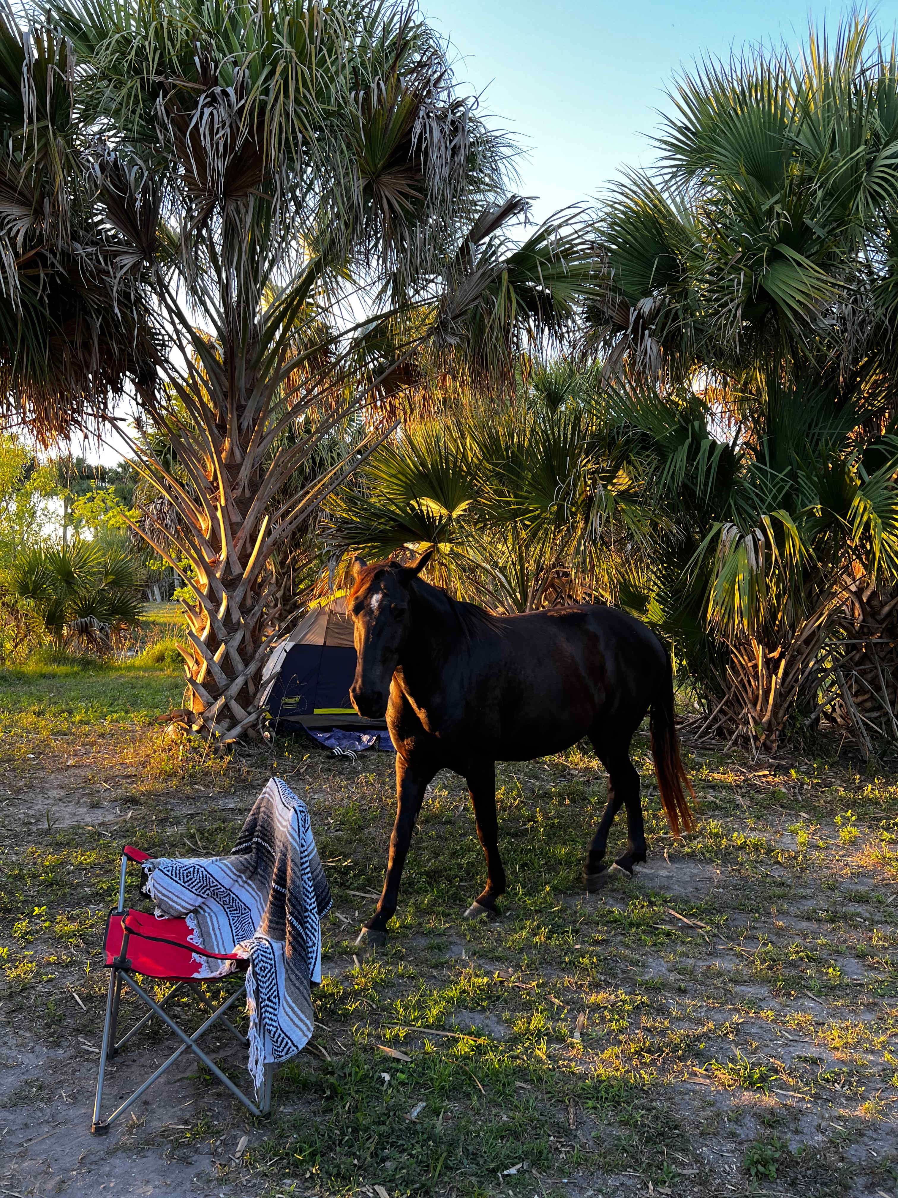 Blue Fox Ranch: Lake & Farm Camp
