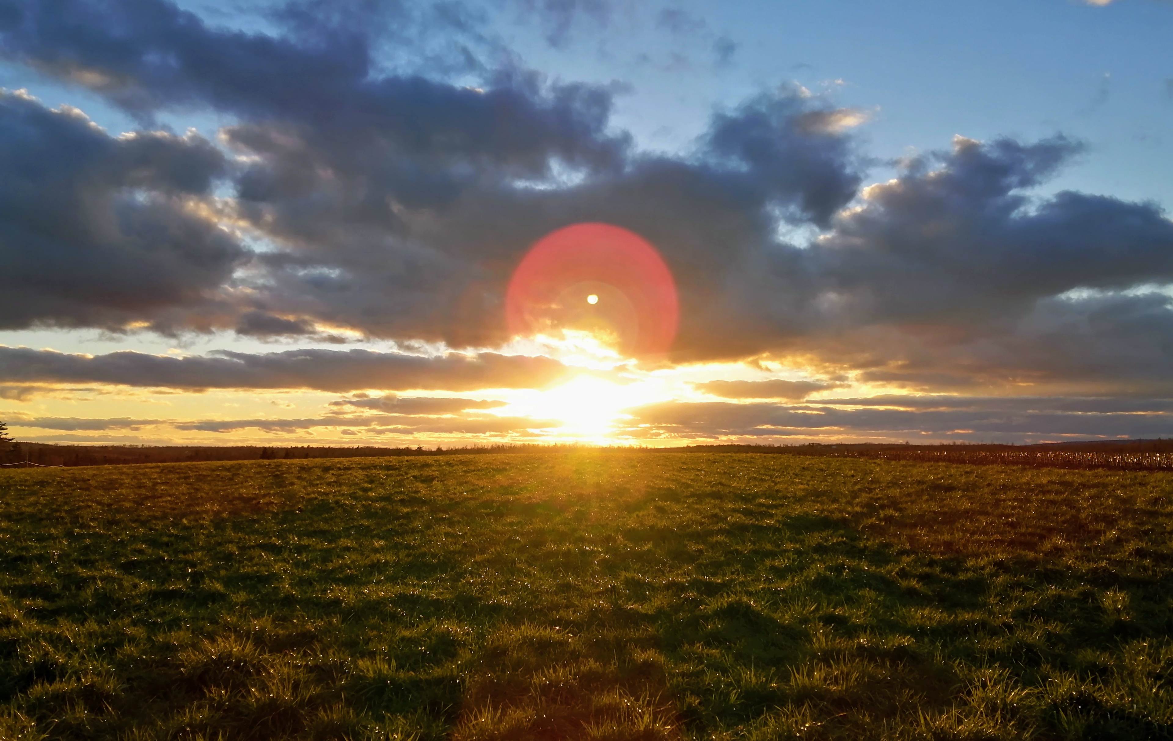 Breathtaking sunsets are a photographers dream. 🌞📷