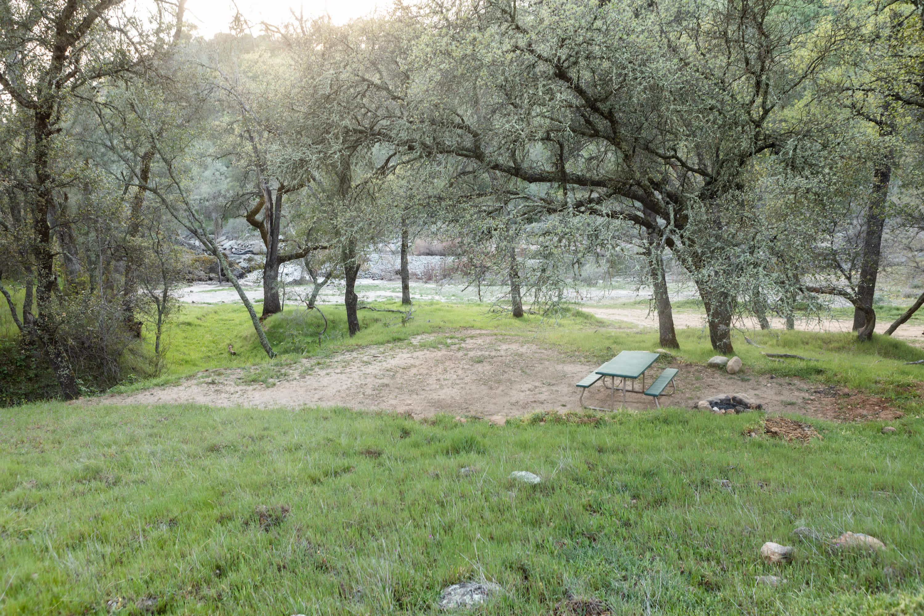 Site 4
