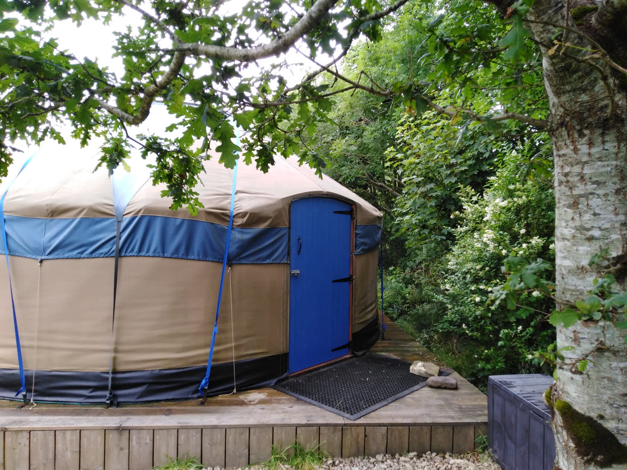 Scorrodale yurt