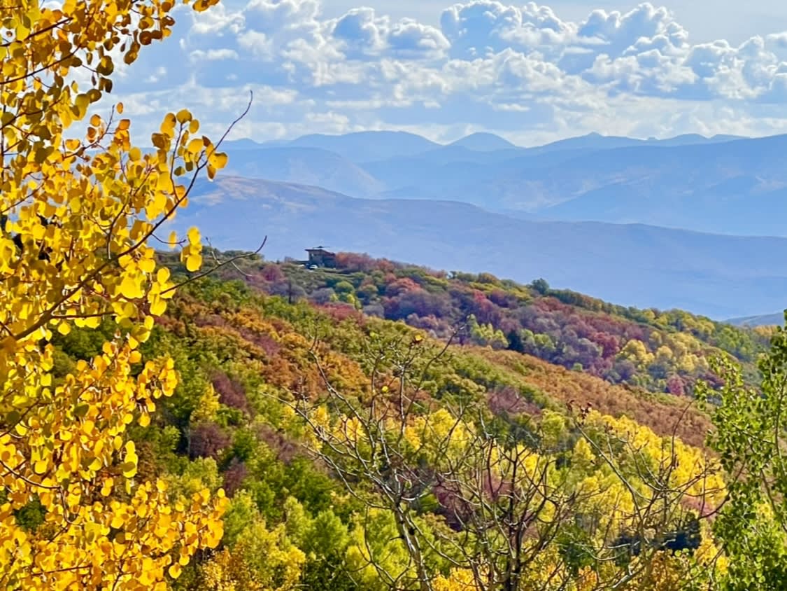 Unbelievable fall colors of Tollgate Canyon with soaring views of the South East Uinta Mountain range in the distance!