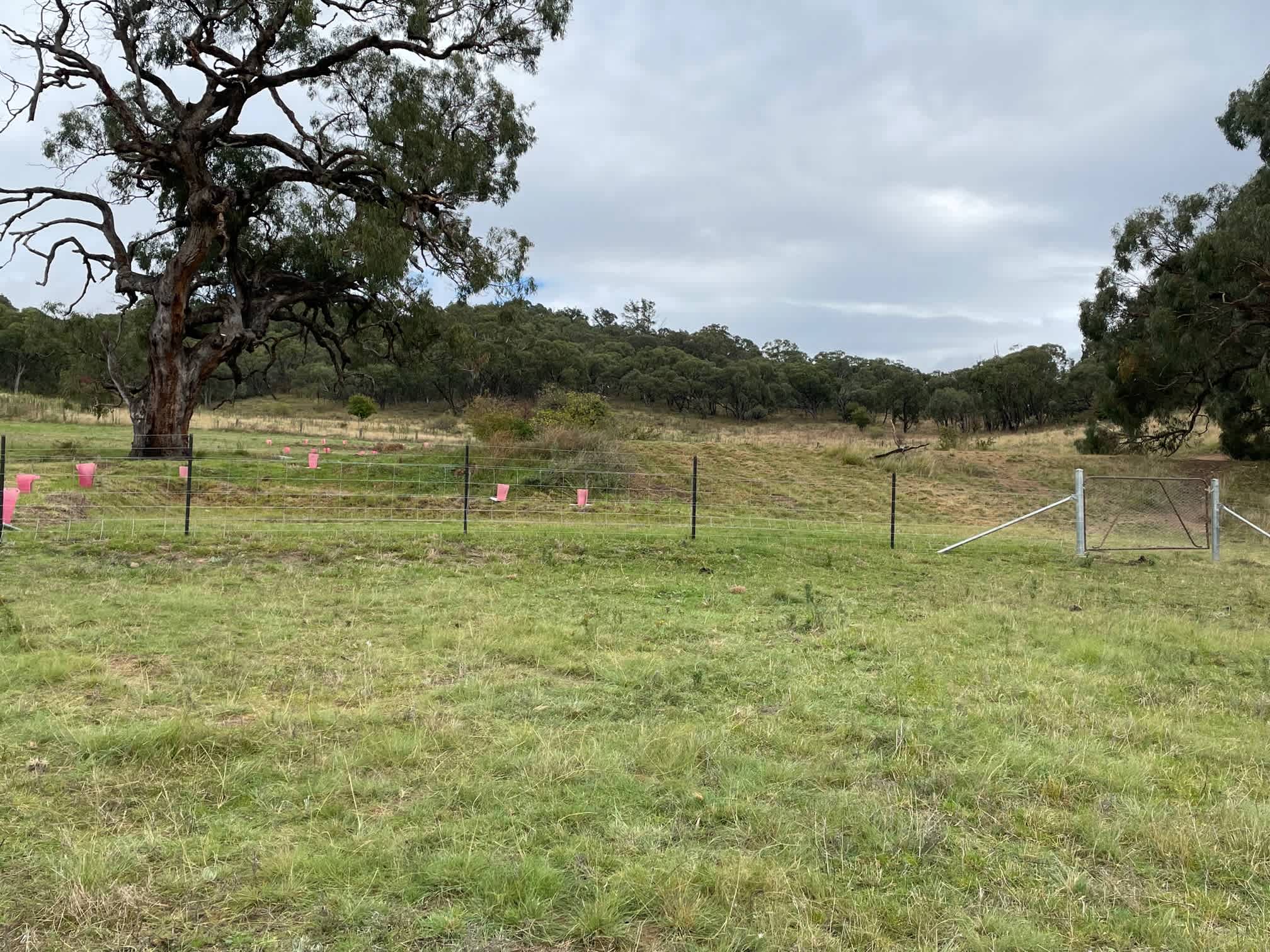 Camp site and entry gate