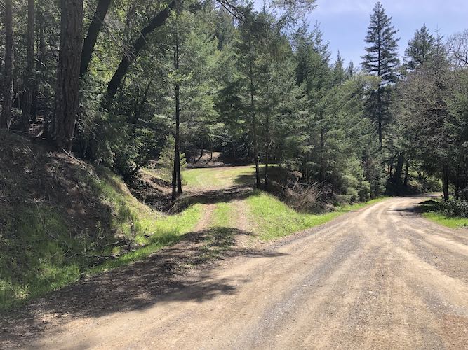 Cannabis Friendly Camping