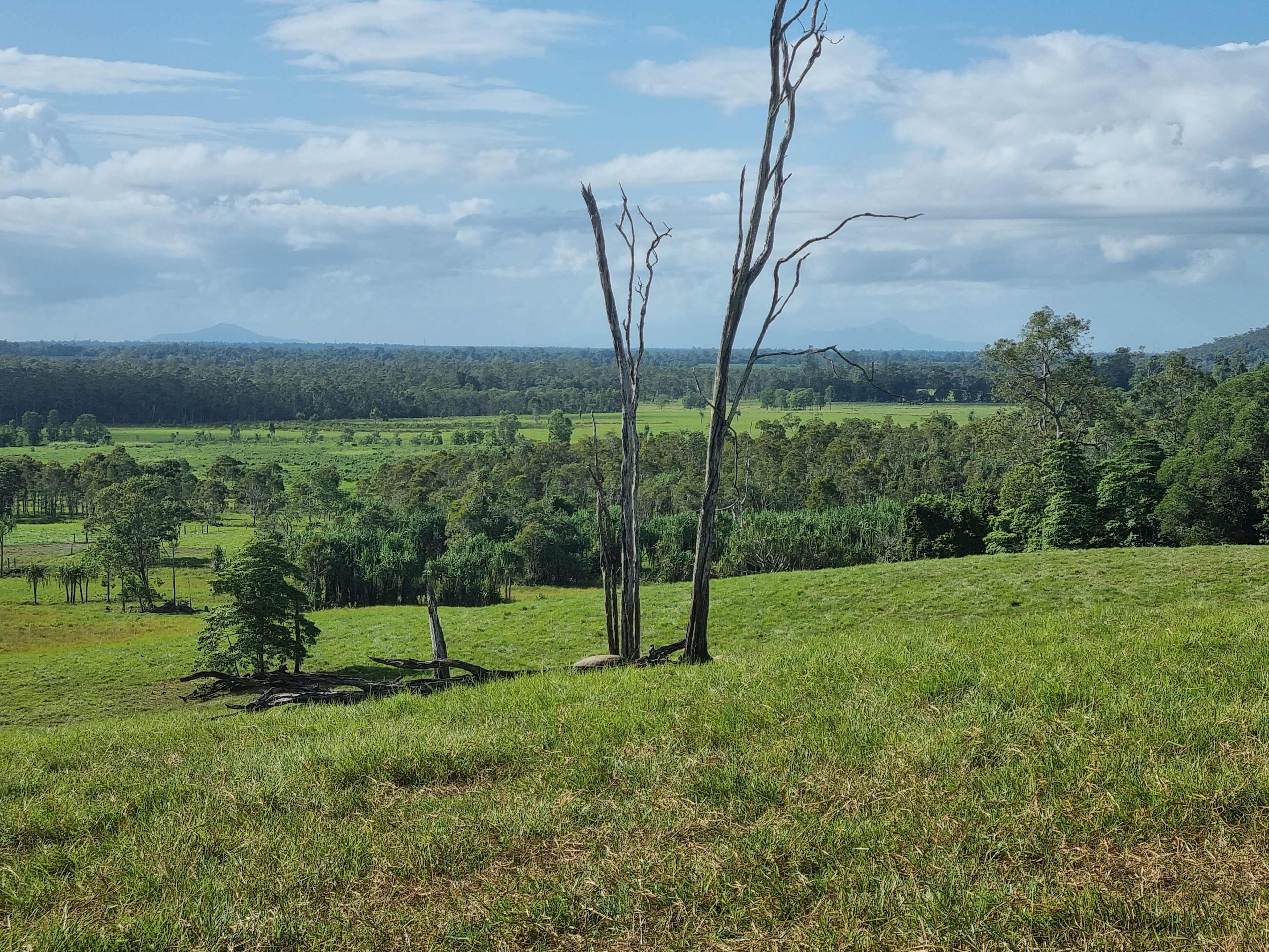 Clearview