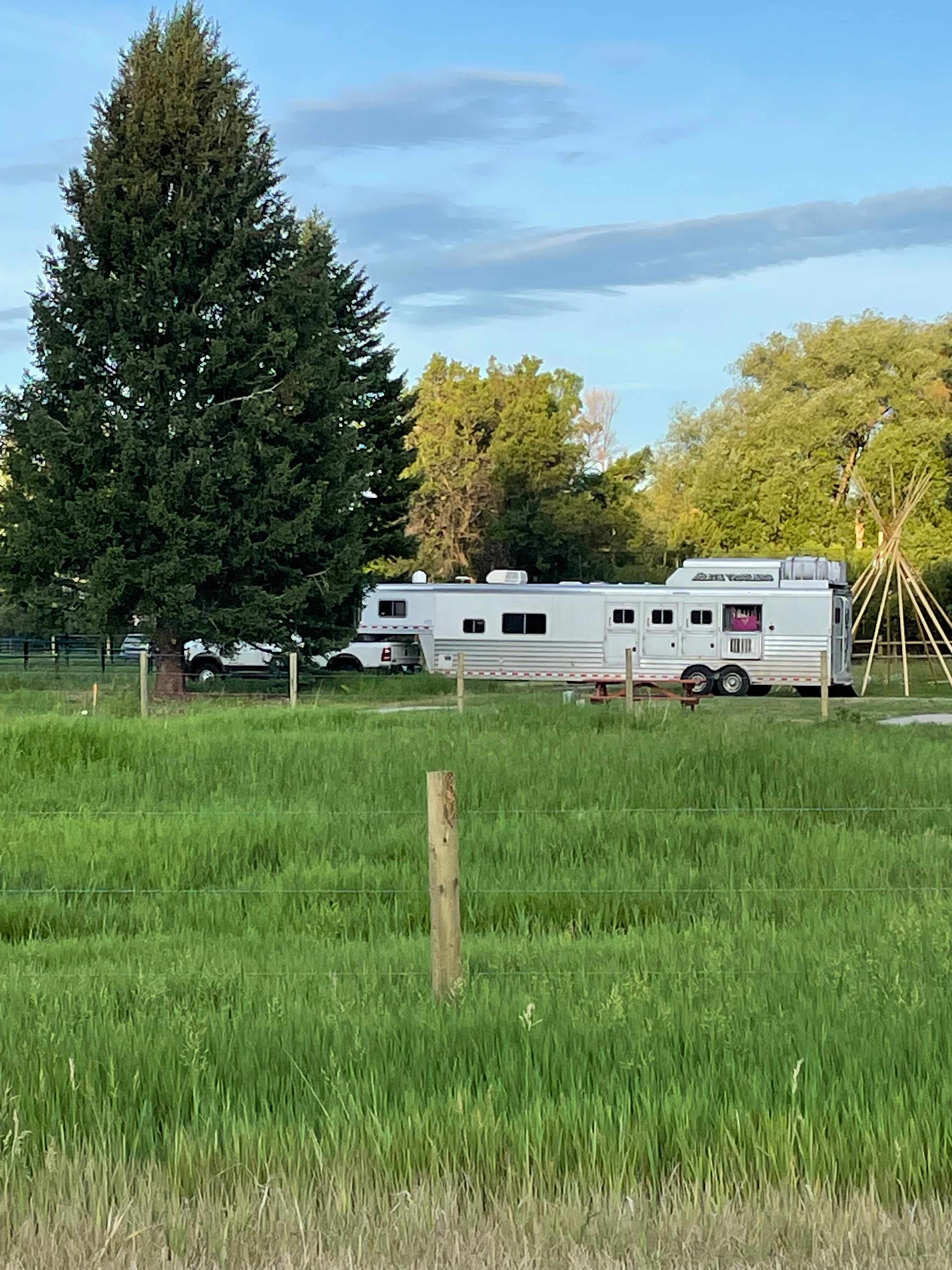 Overnight stays for horses