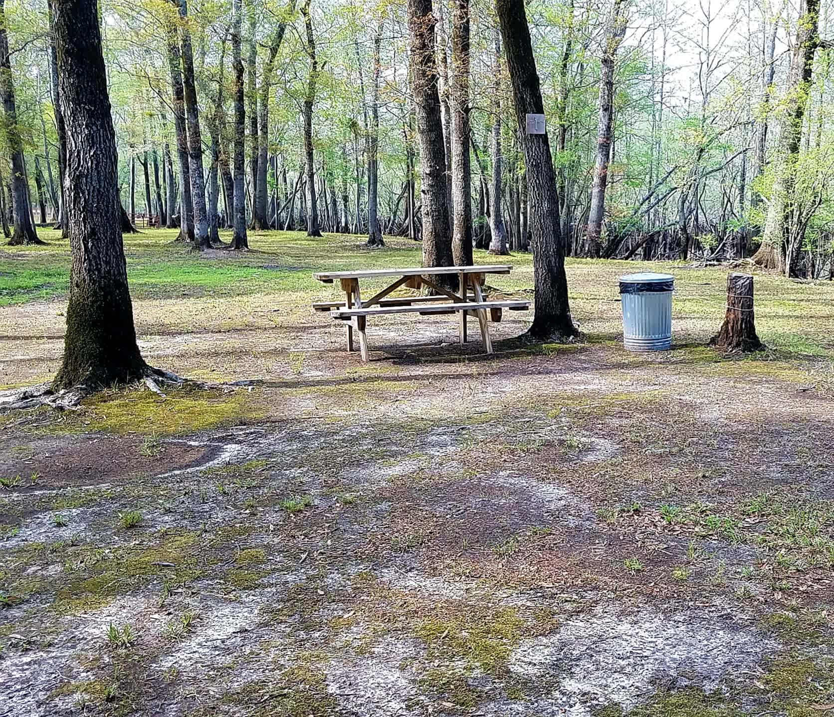 Black River Camping Ventures