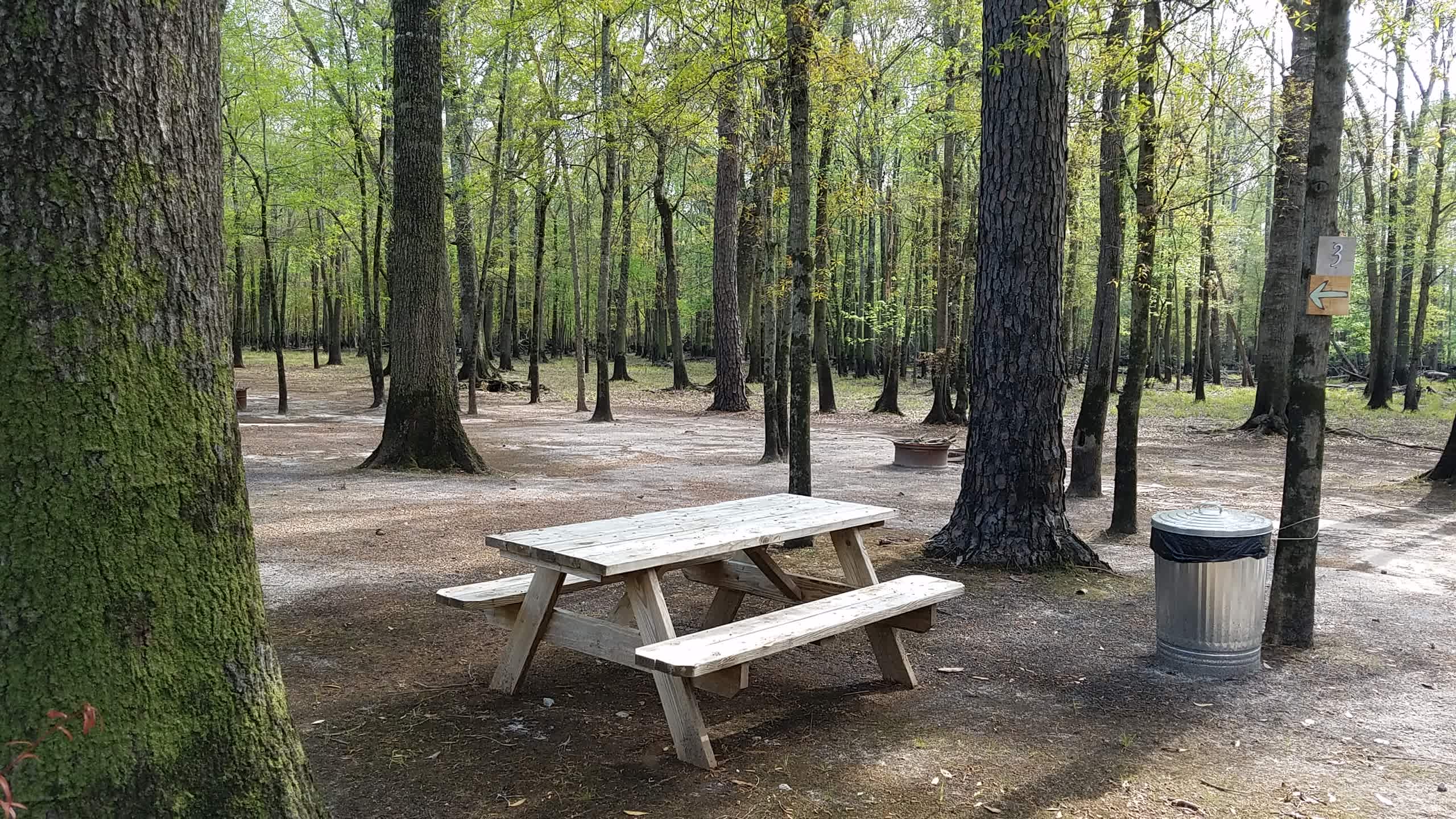 Black River Camping Ventures