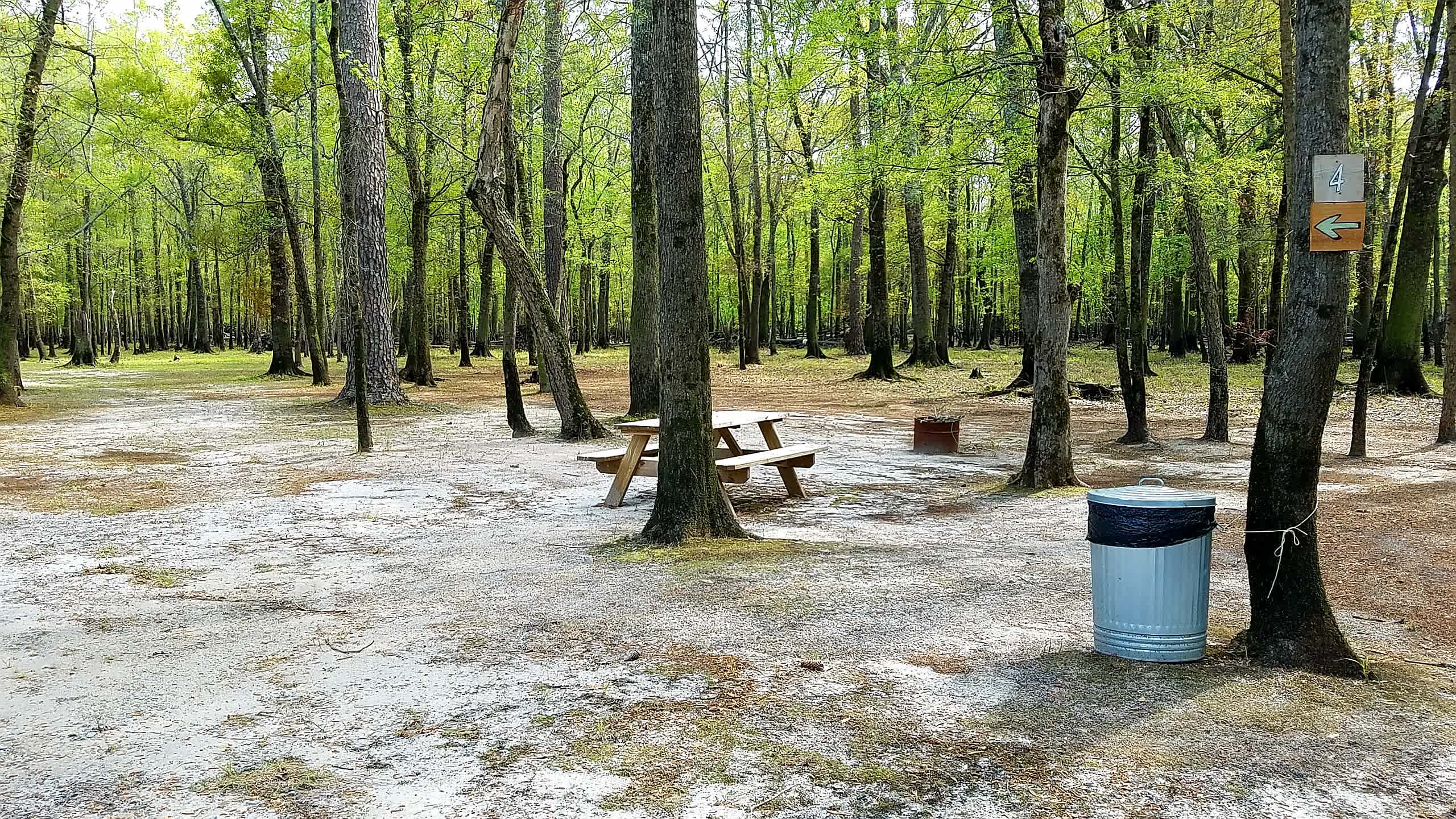 Black River Camping Ventures