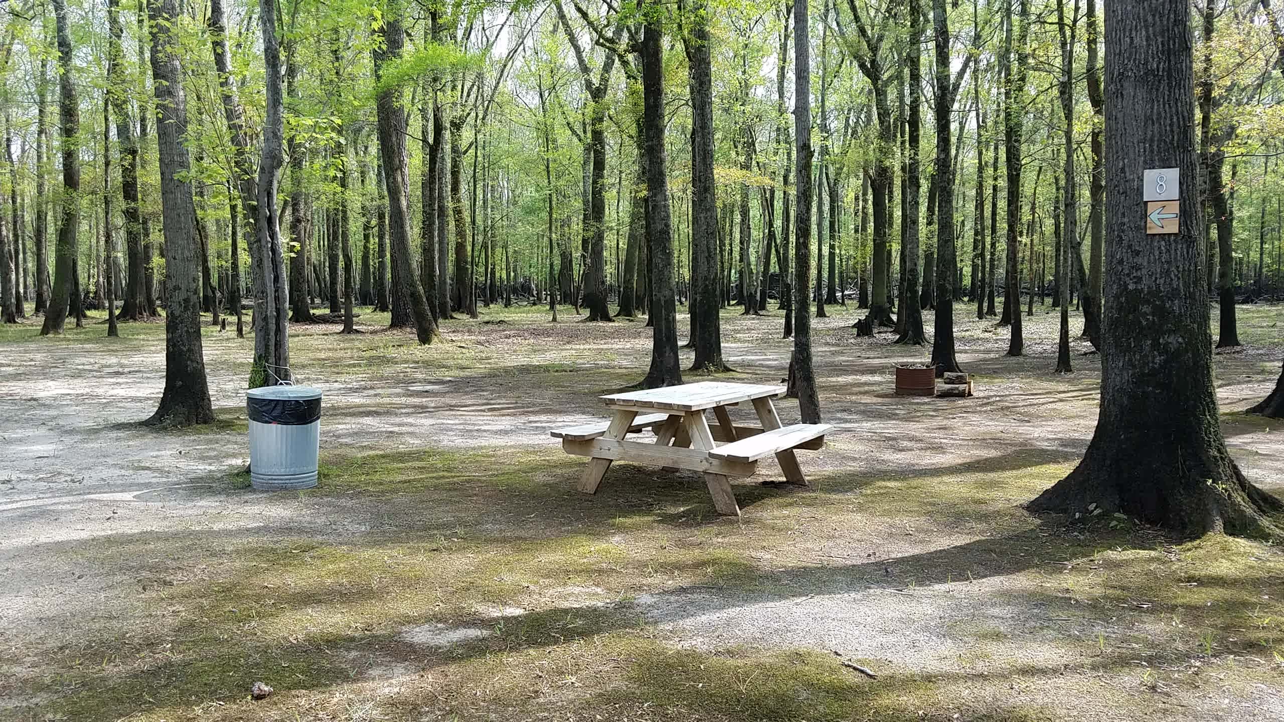 Black River Camping Ventures