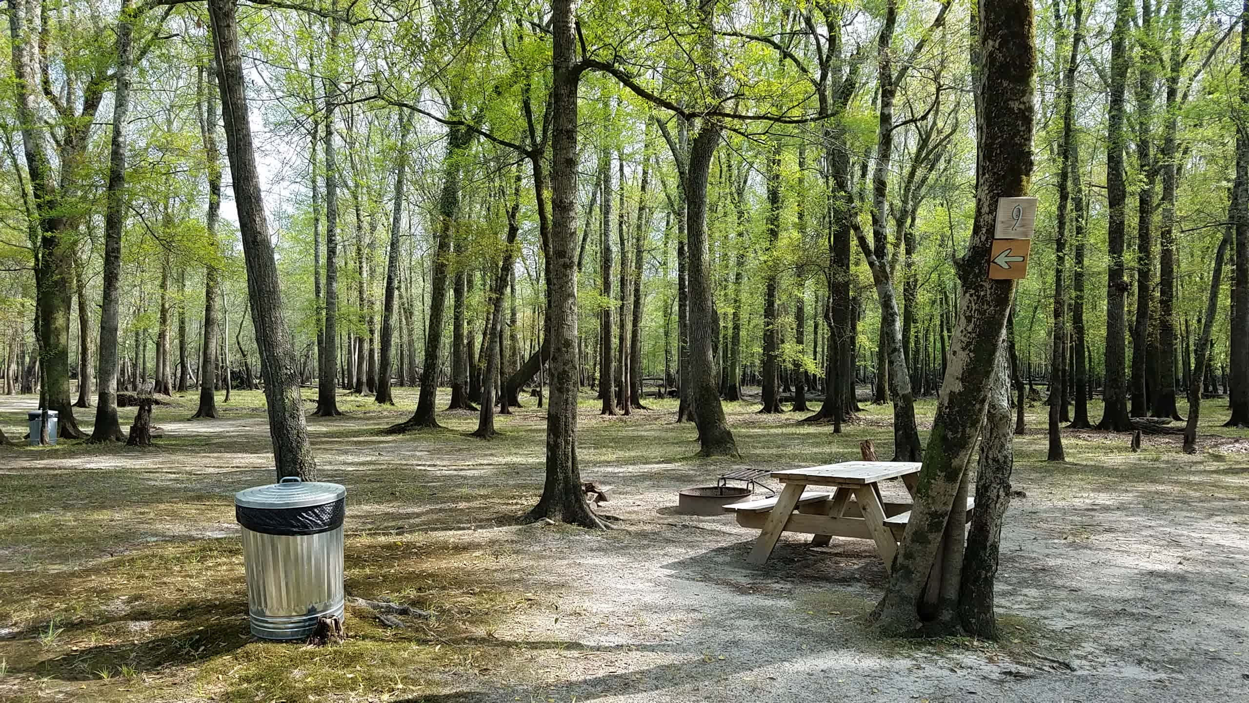 Black River Camping Ventures