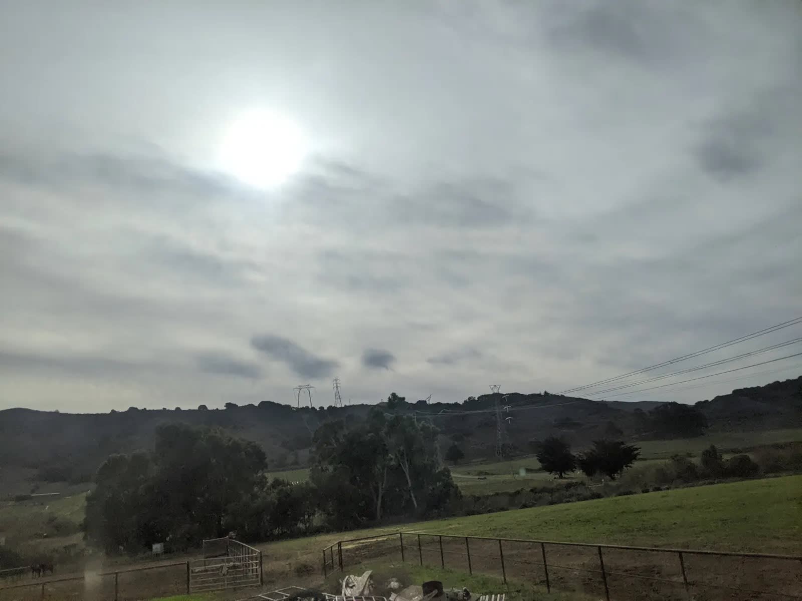 Organic farm and horse camp