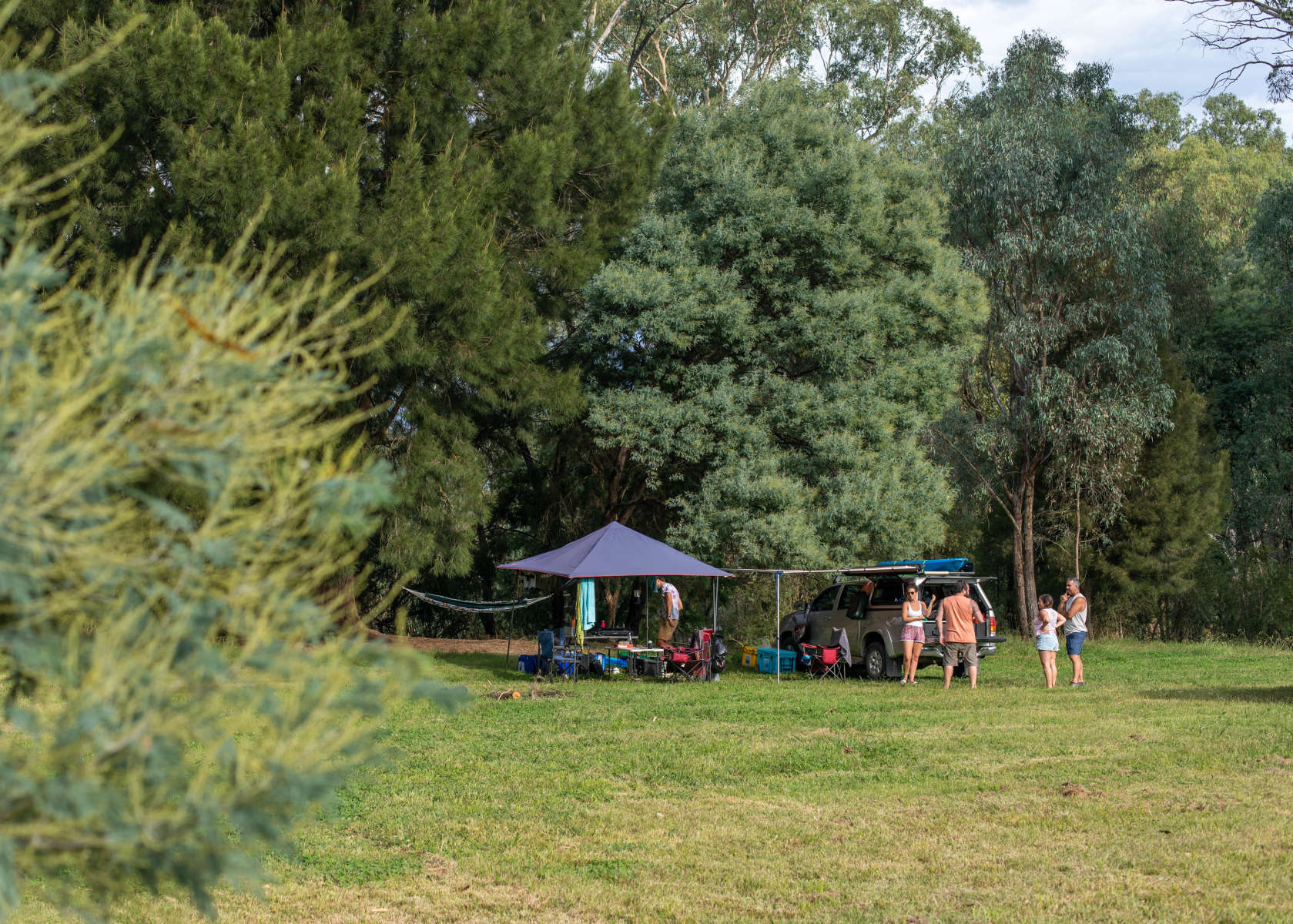 Jackaleah Farm Stay - Camping