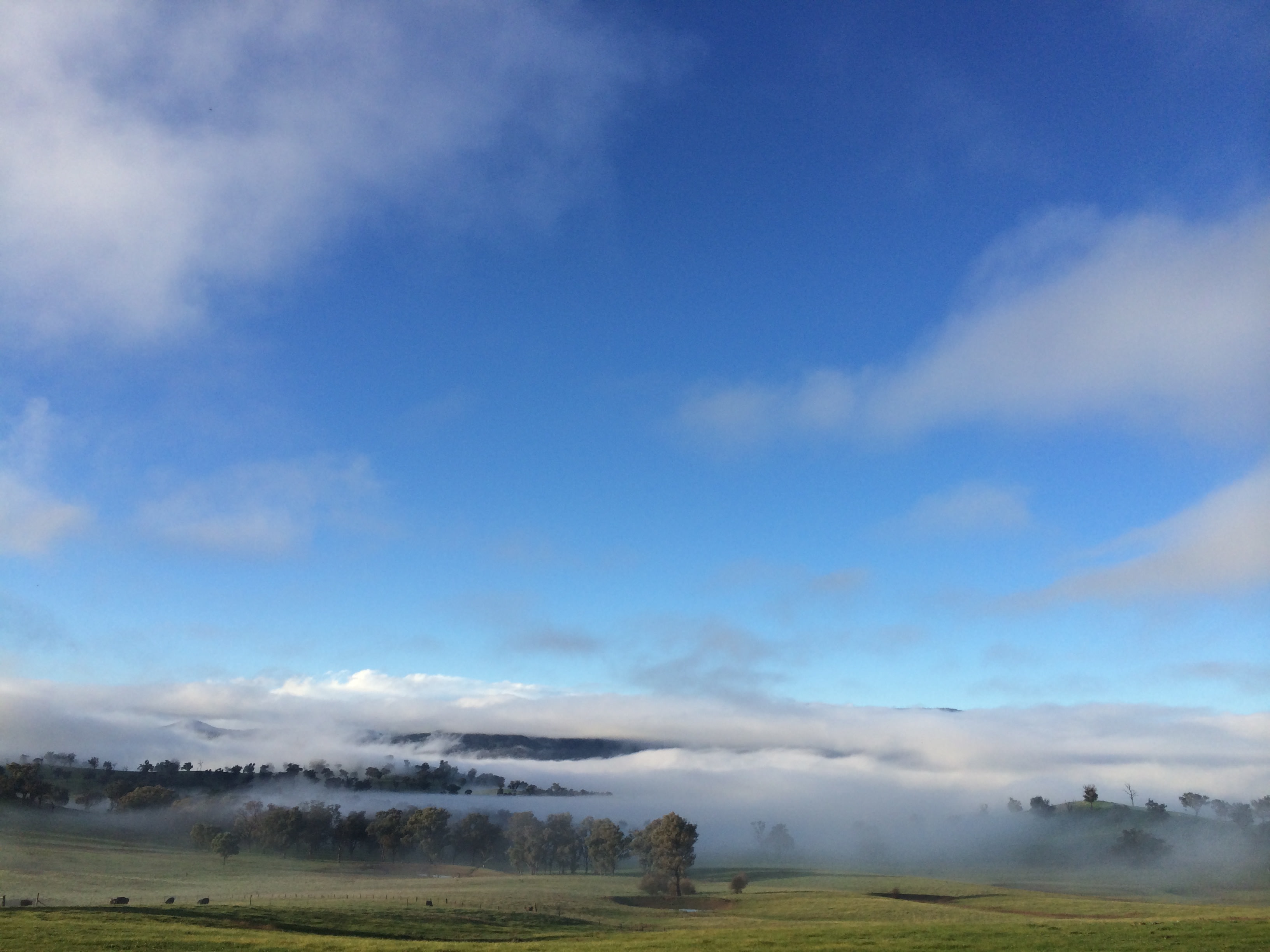 Enjoy the gorgeous view of fog in the valley!!