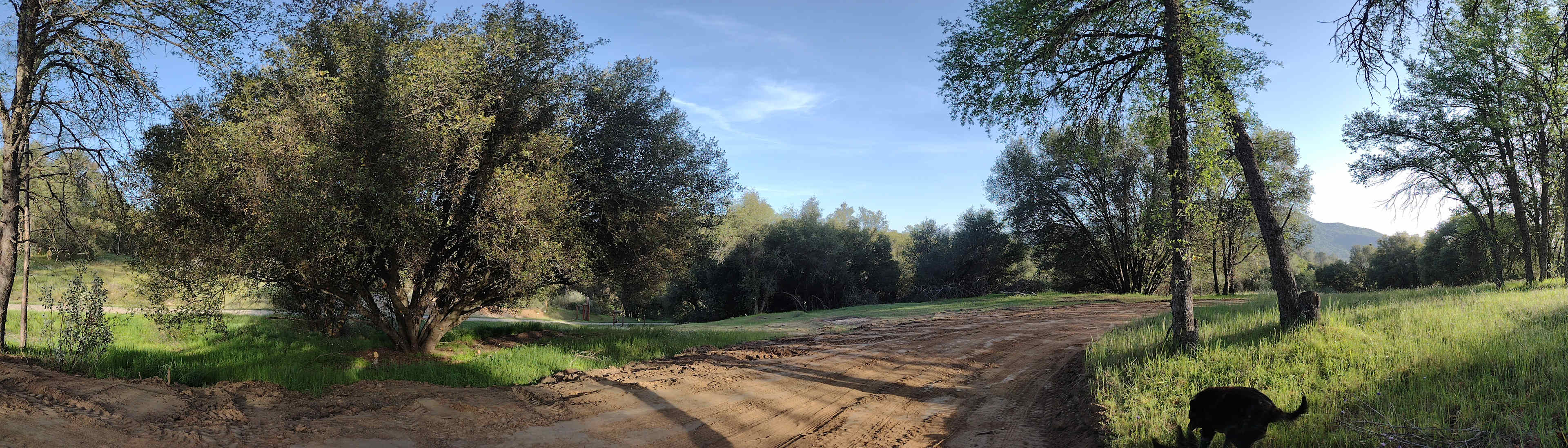 You have easy-in, easy-out with a pull-through driveway.