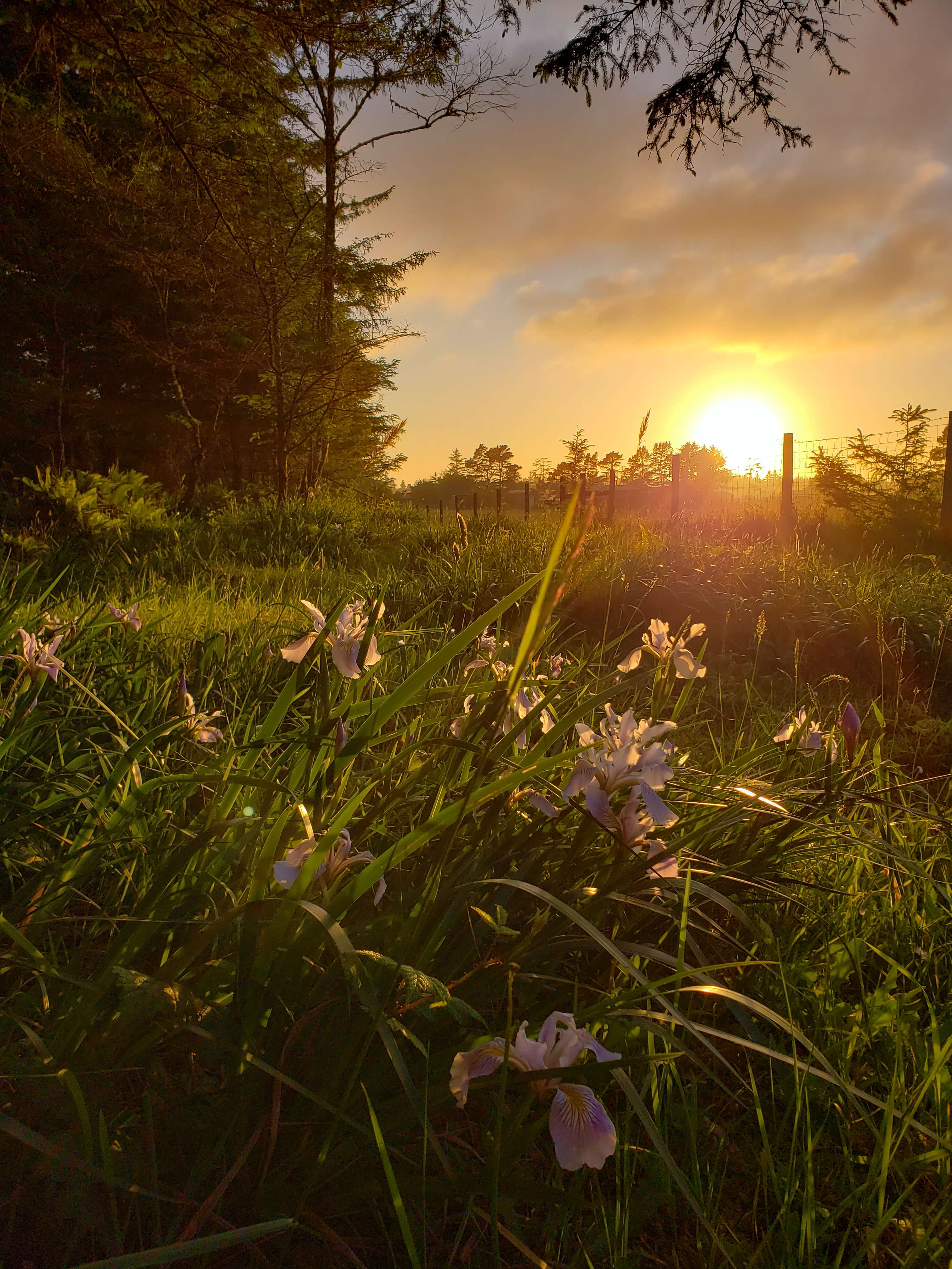 Sunset from the campsite