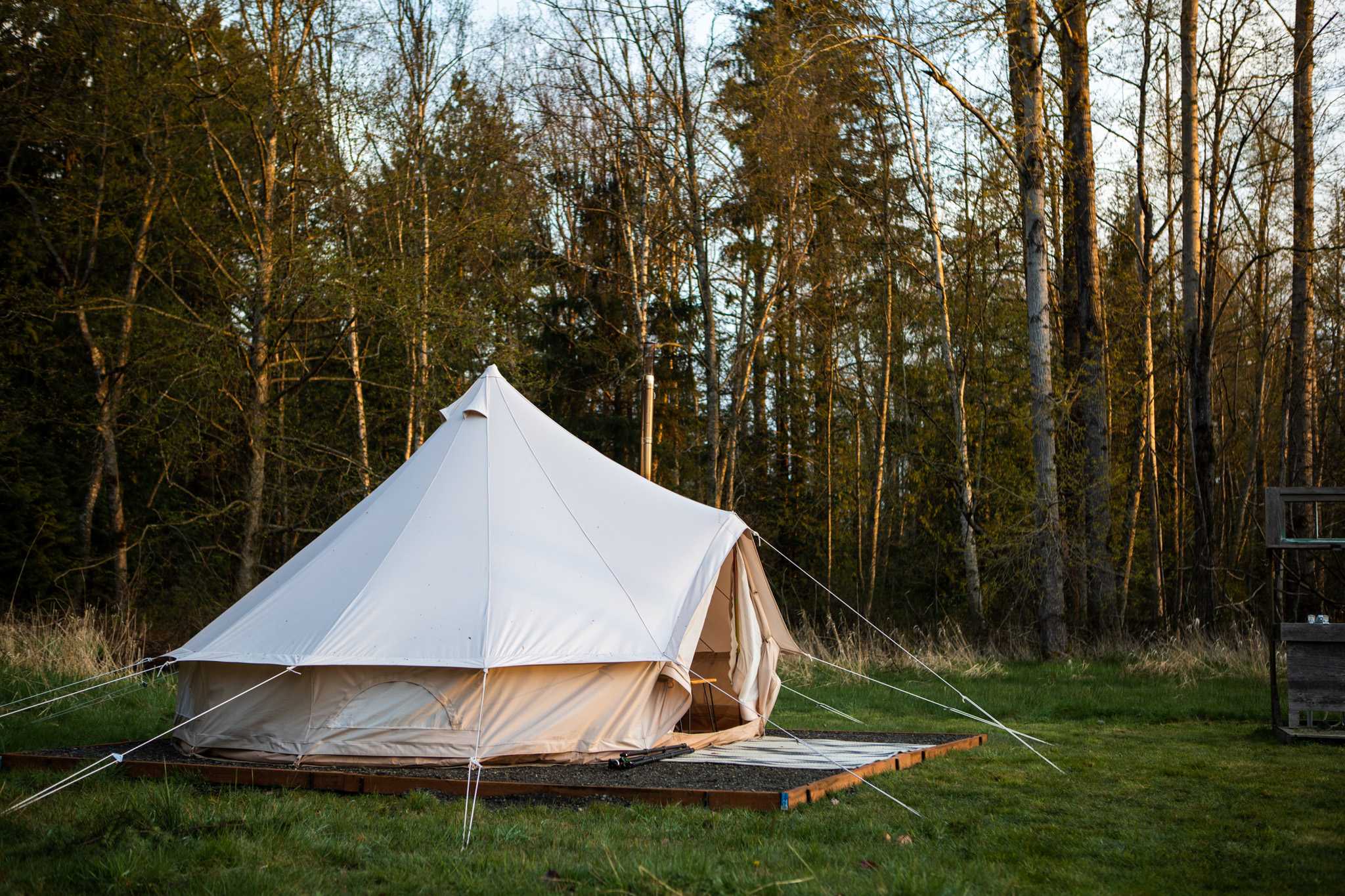 Custer Family Glamping ❤️