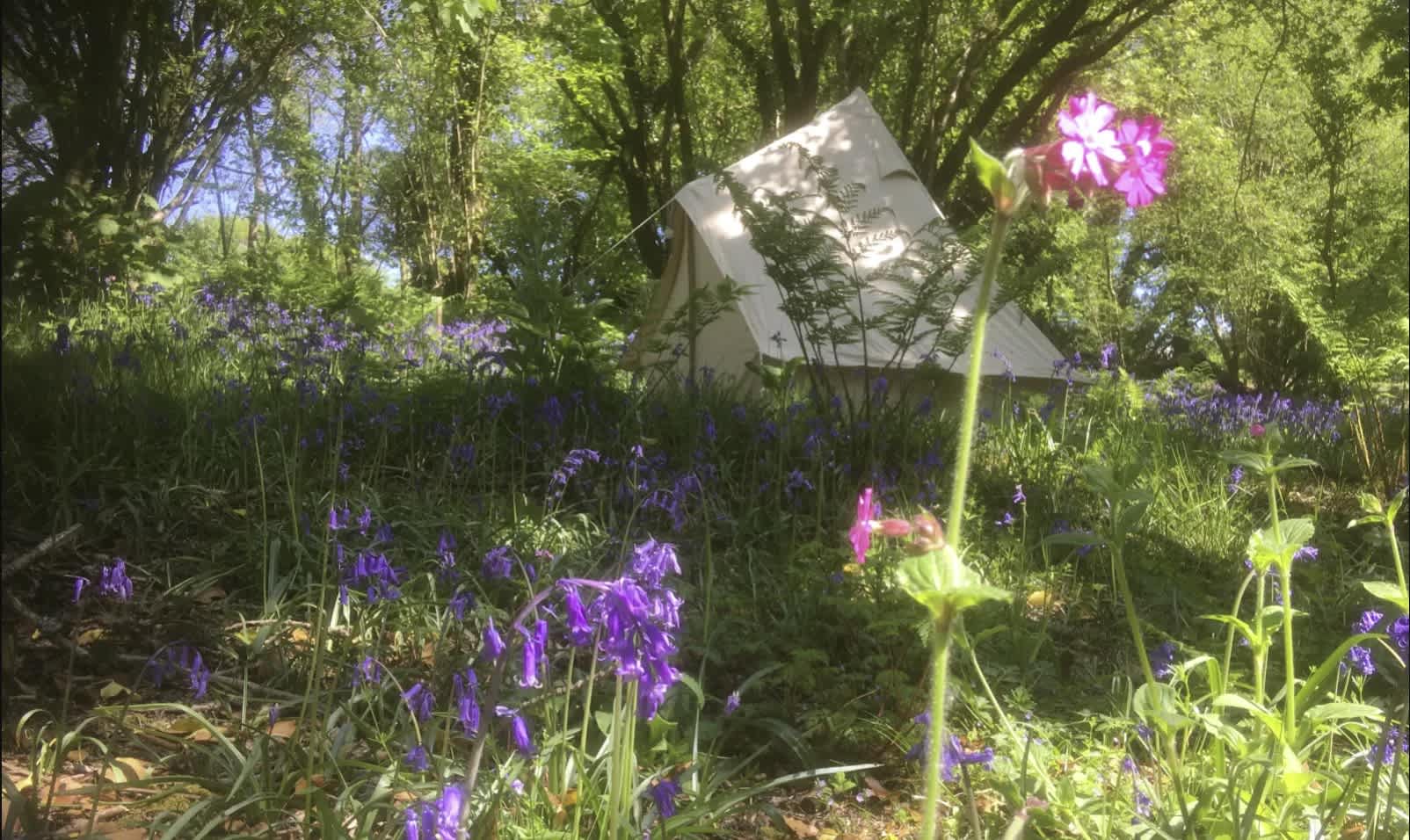 Cilrath Wood Camping