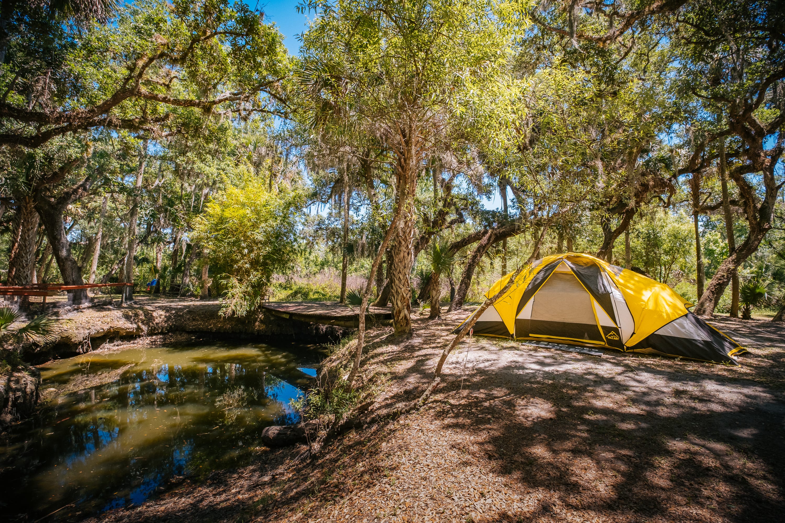 Tent camping near the pond