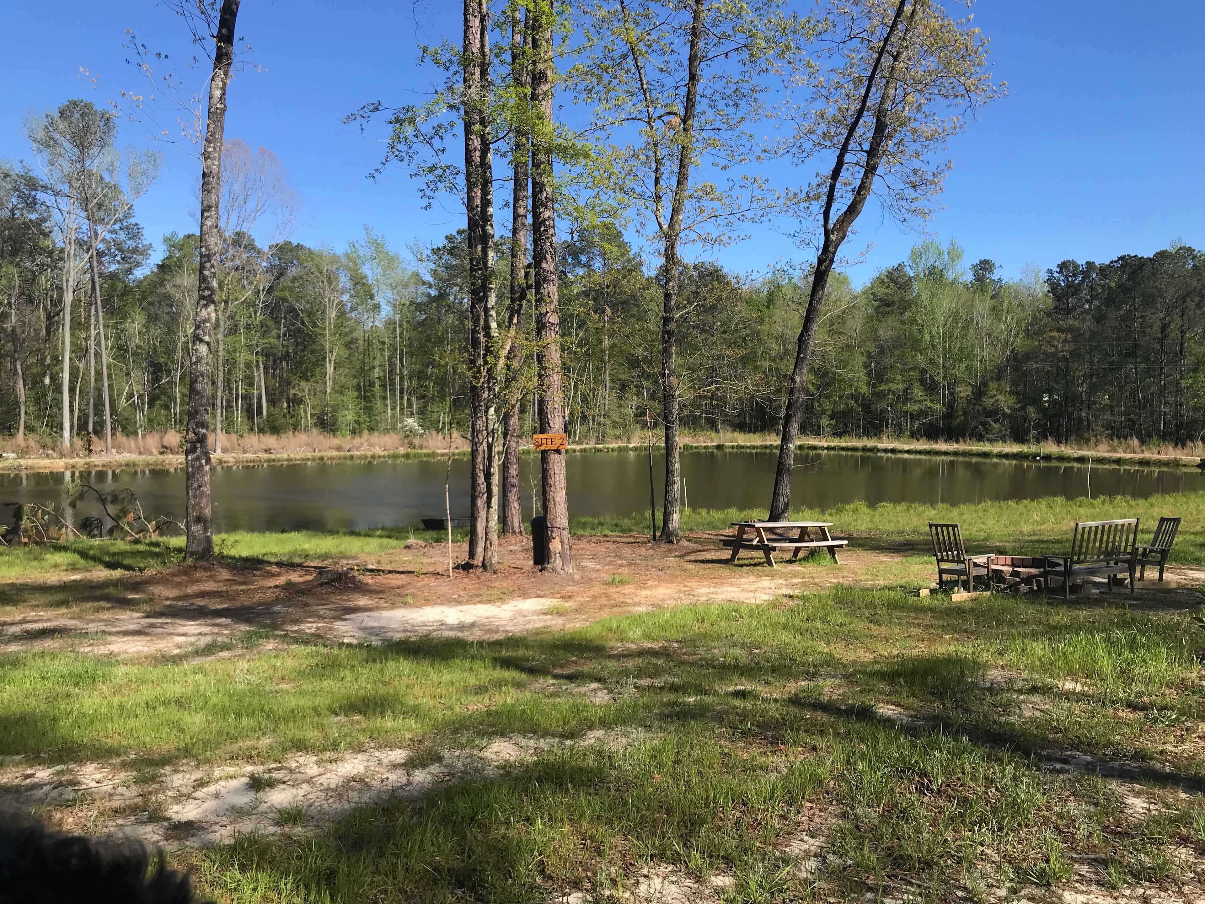 Site 2 - Under the Trees