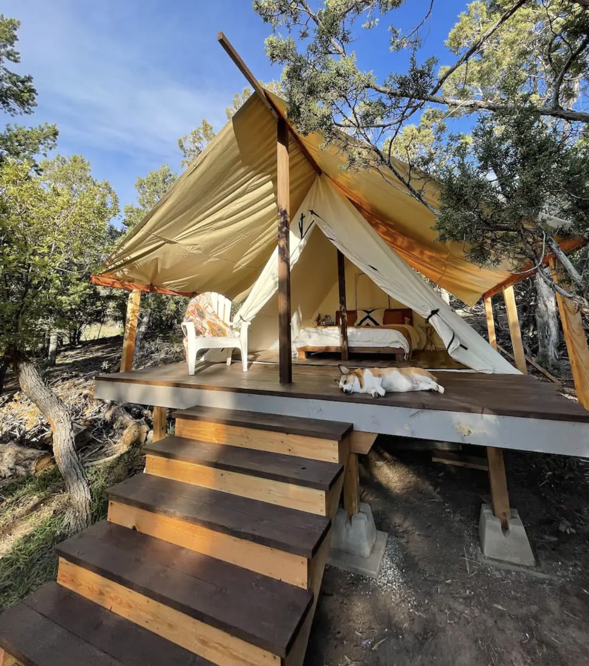 Glamping tent - sunset views from bed and all the birdwatching your heart desires