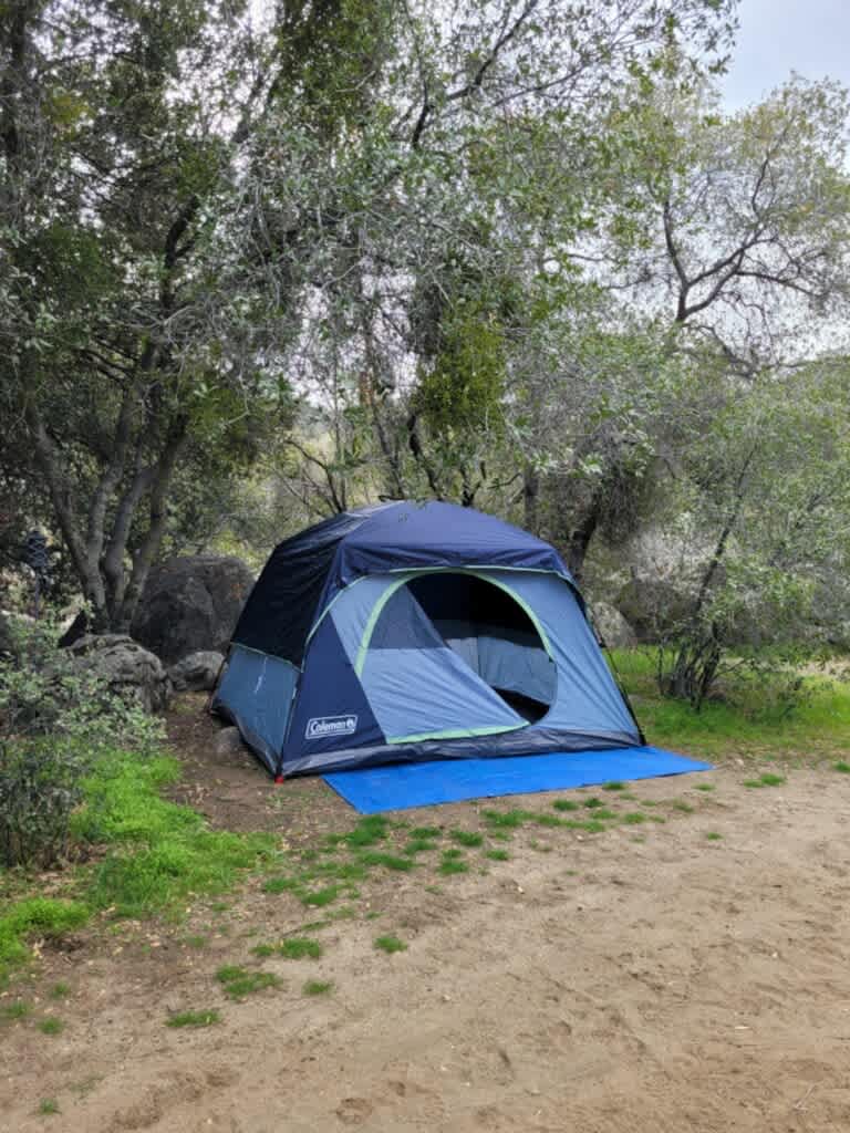 Elderberry Campsite