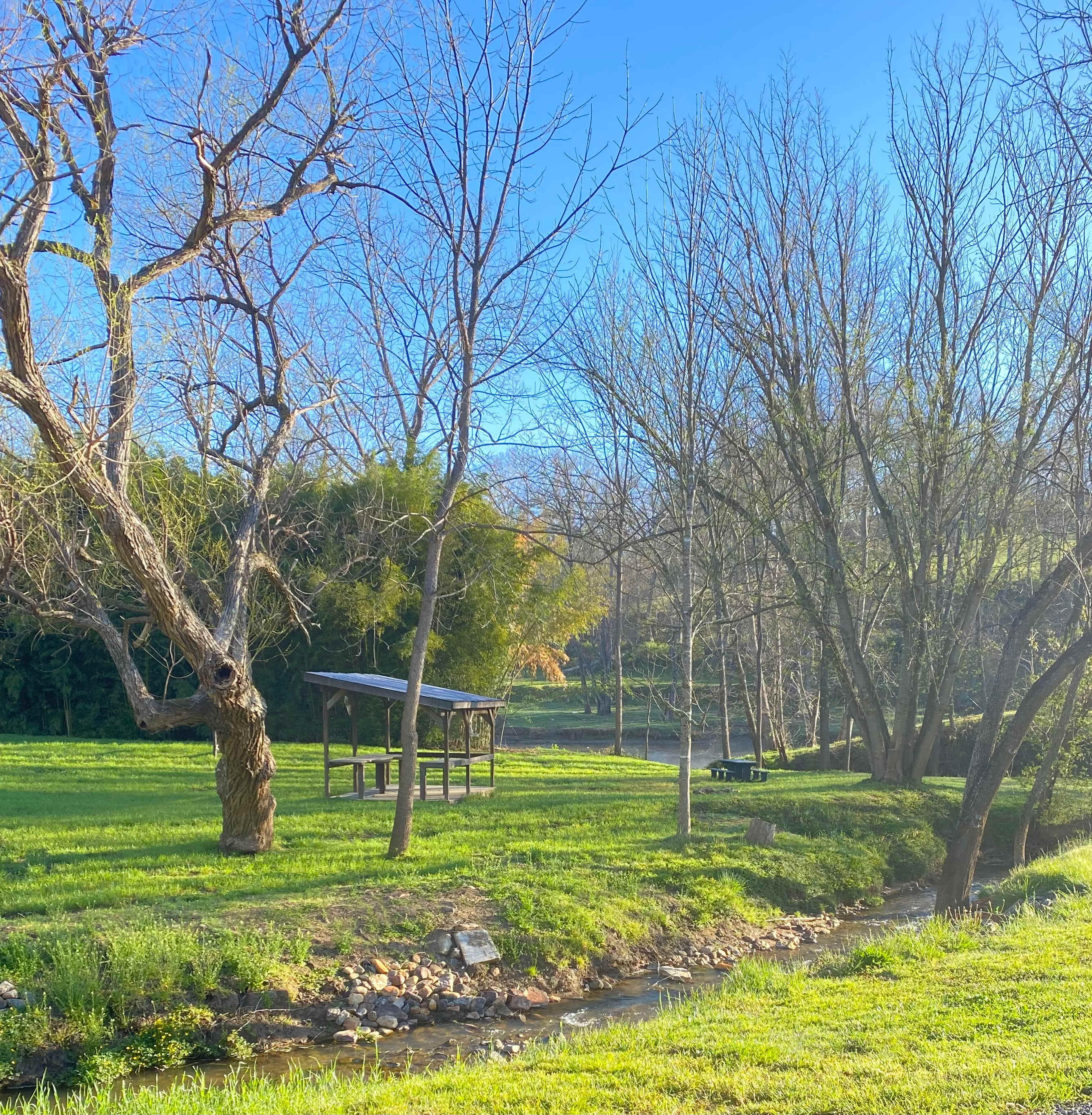 Shooting Shed site is flanked by the Dawn Branch creek and the Pigeon River.