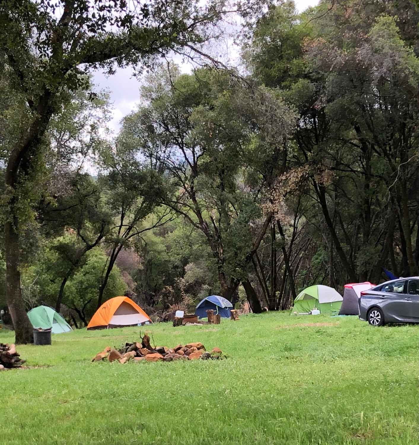 A group camping.
