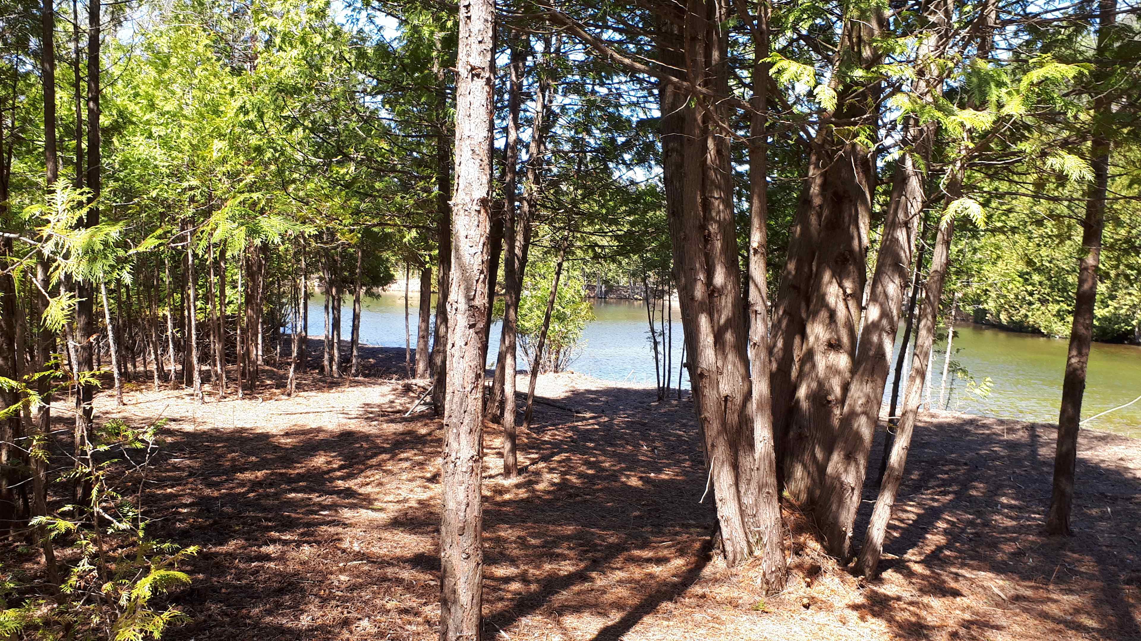 Shared section of island if 2 sites booked.