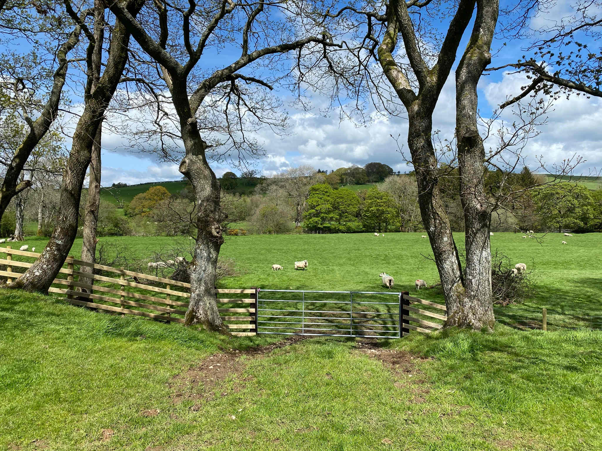 Gwersyllt Rhos y Gallt Campsite