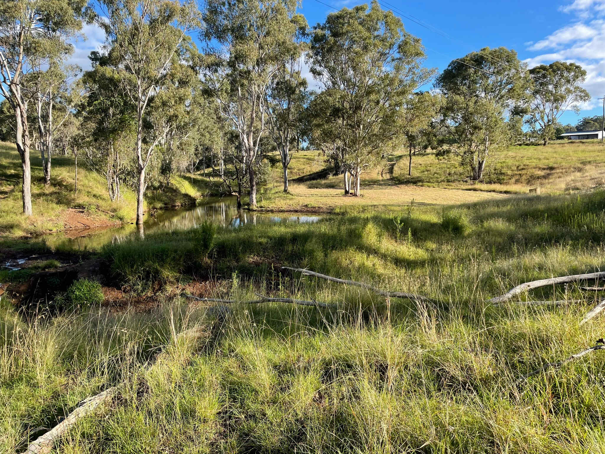 Looking over to Hobbsy's Gully camp area