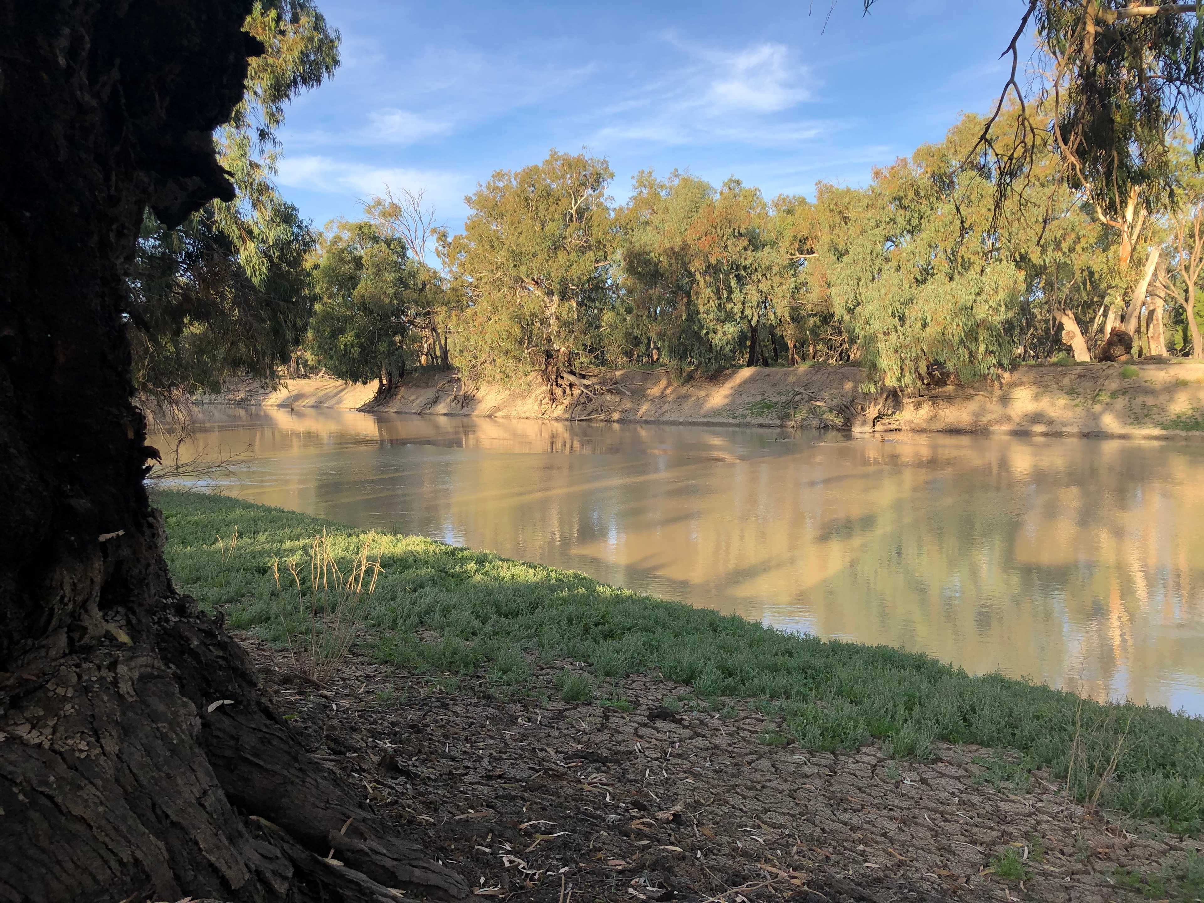 Bindara on the Darling campsites
