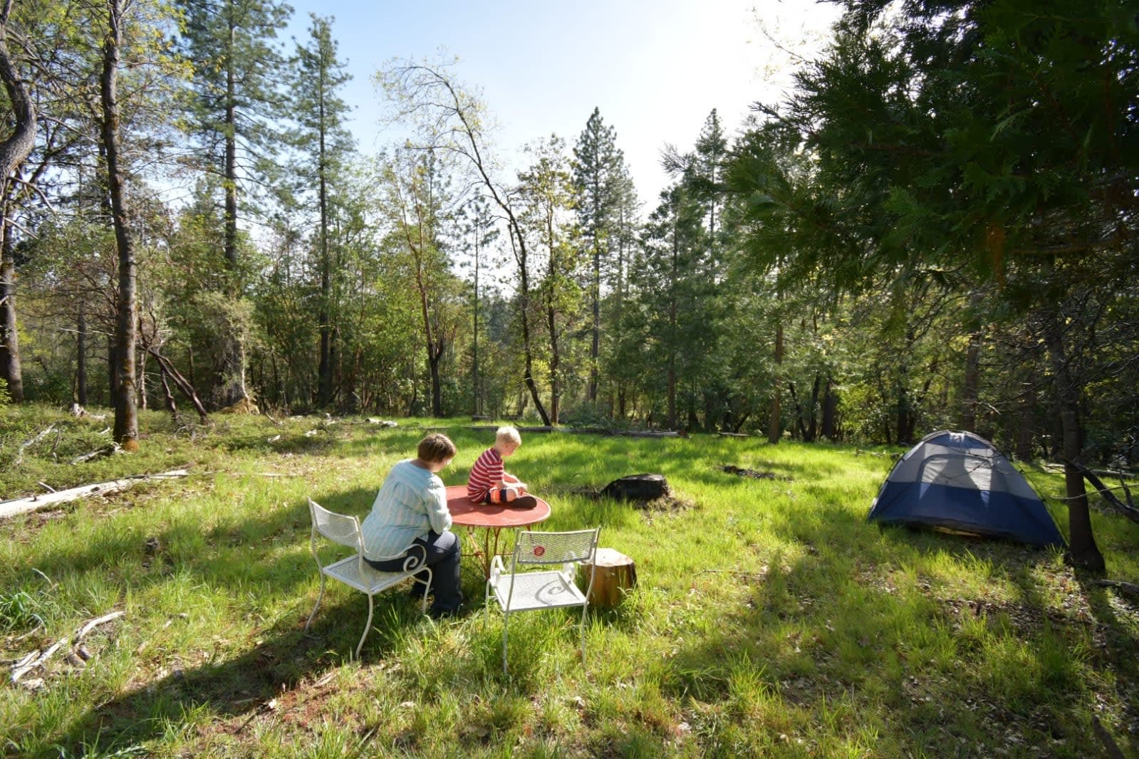 Large open meadow for running around and frisbee. Two tables are provided at the site. Mountain biking, trails and easy access to the Yuba and Gold Rush towns. 
