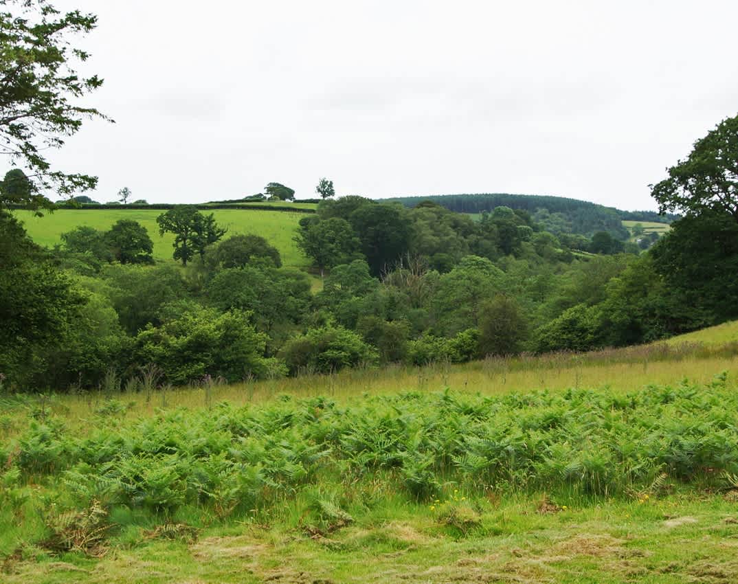 Llansawel Agored