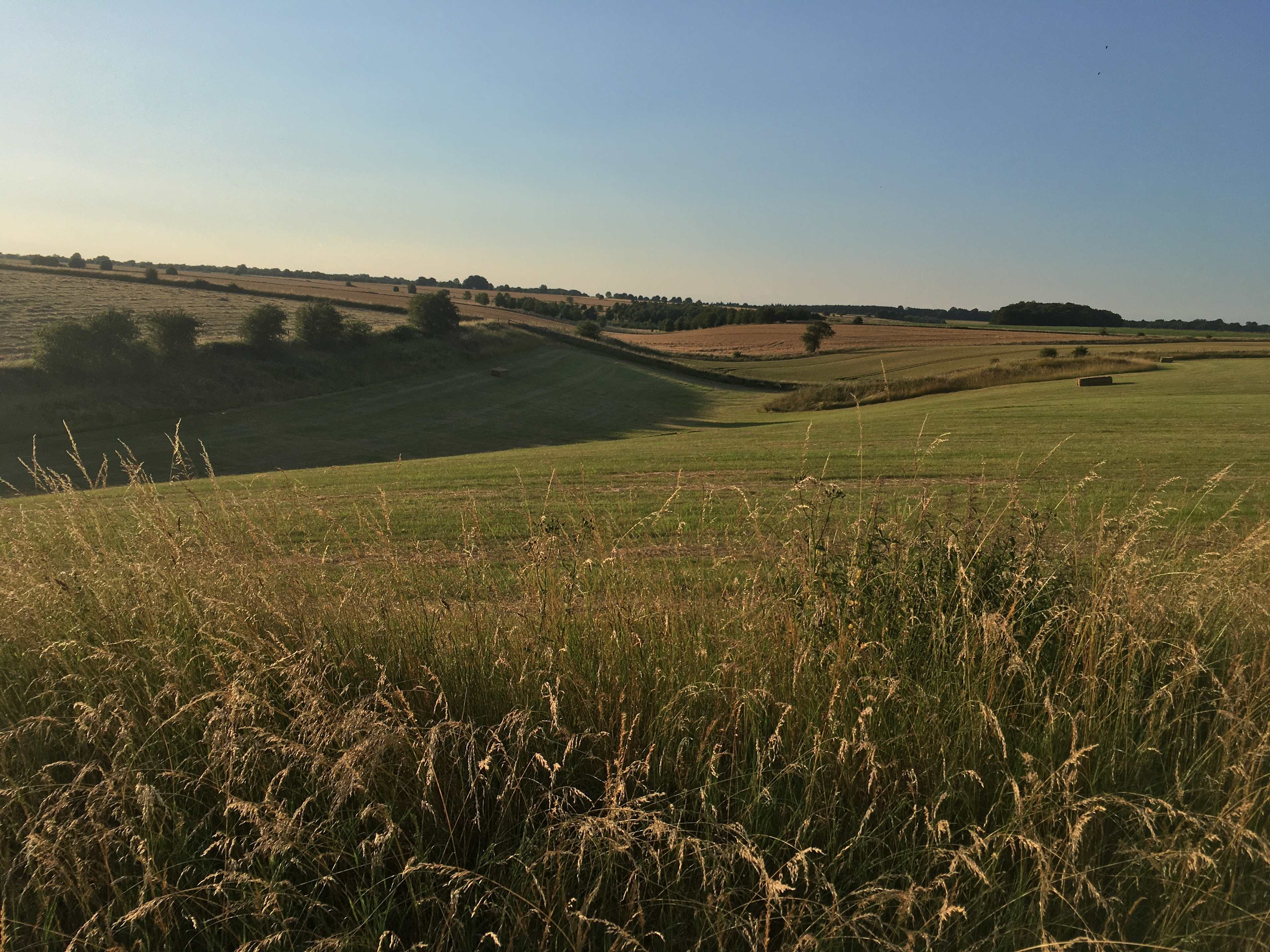 Wild Camping in the Cotswolds