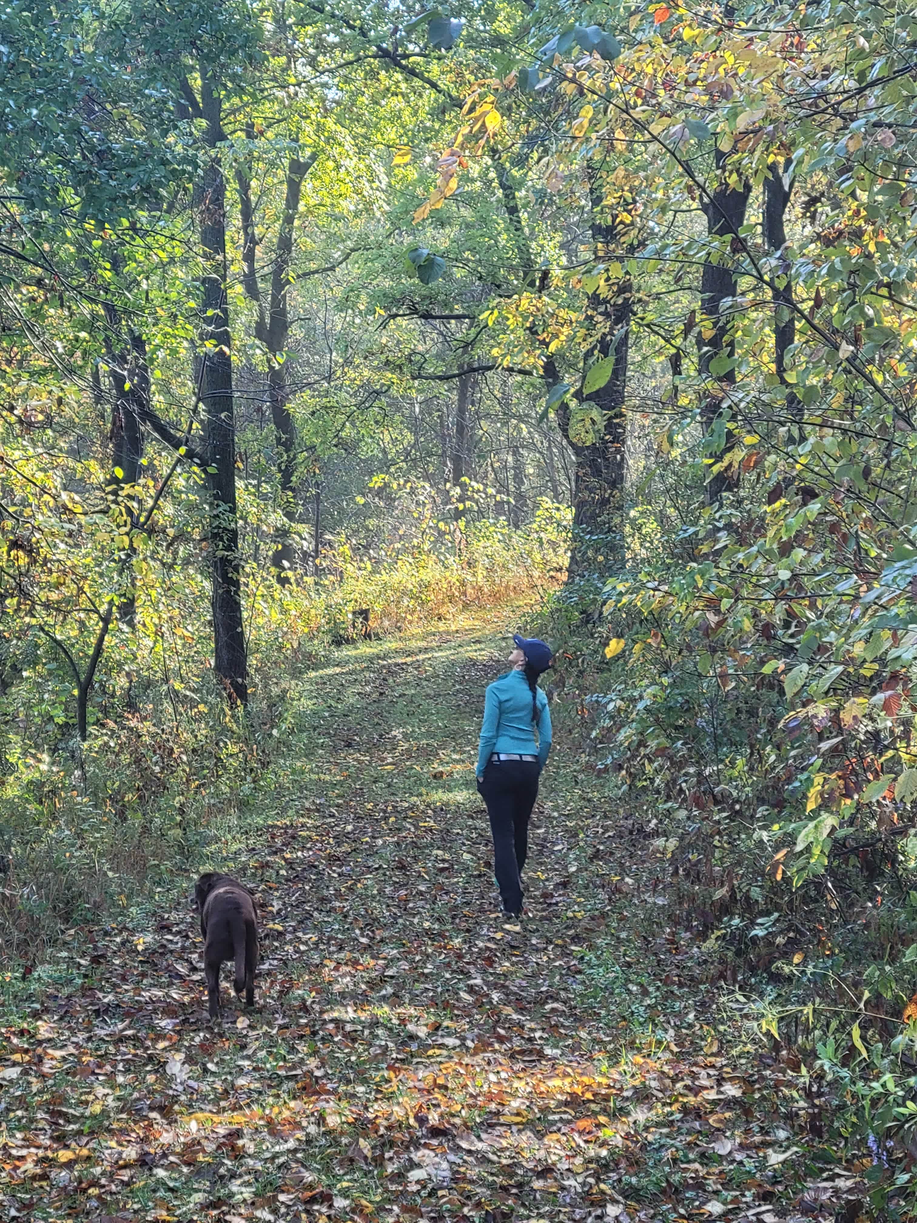 miles of trails