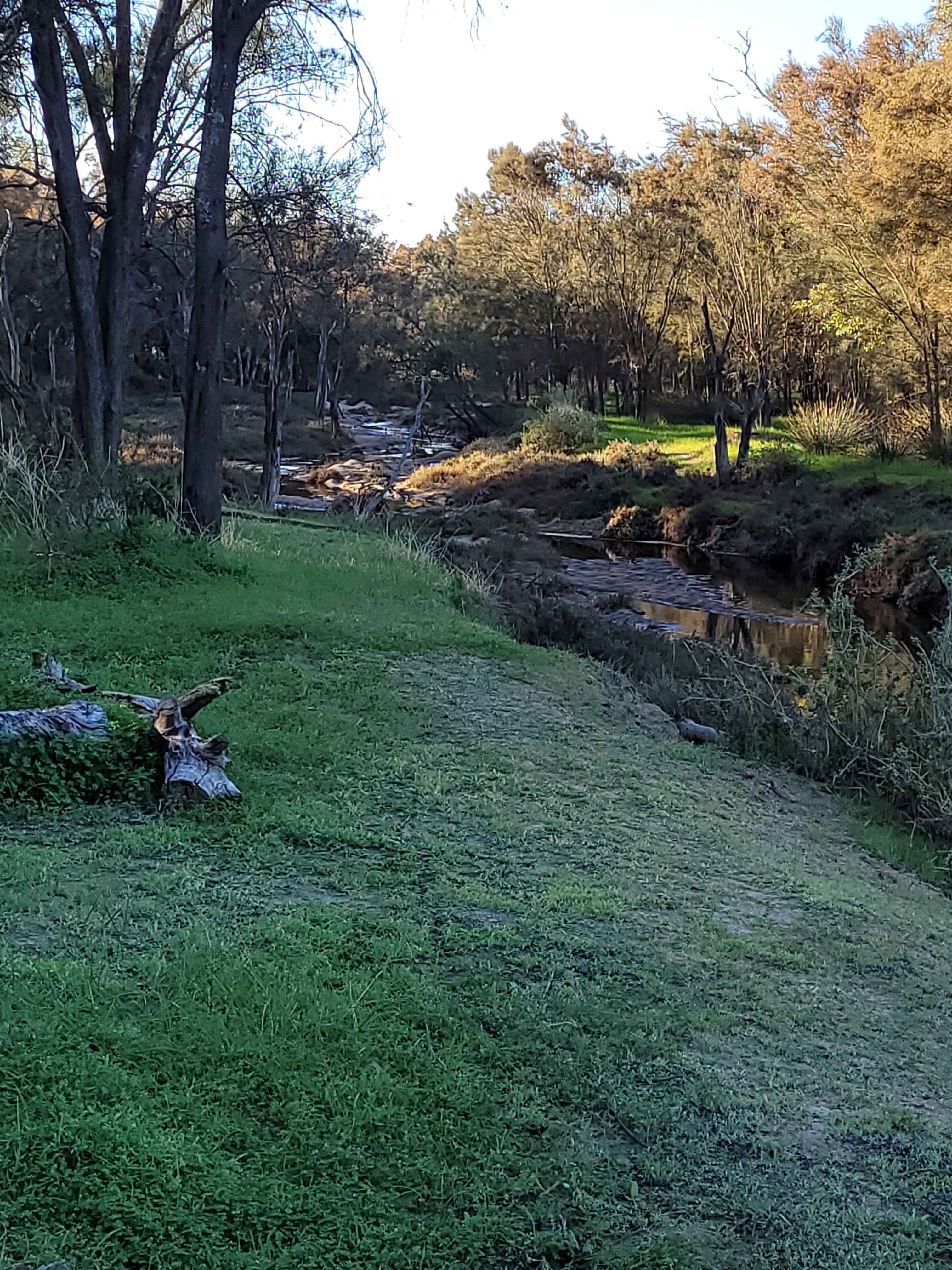 Trapwell Farm - an eco experience!