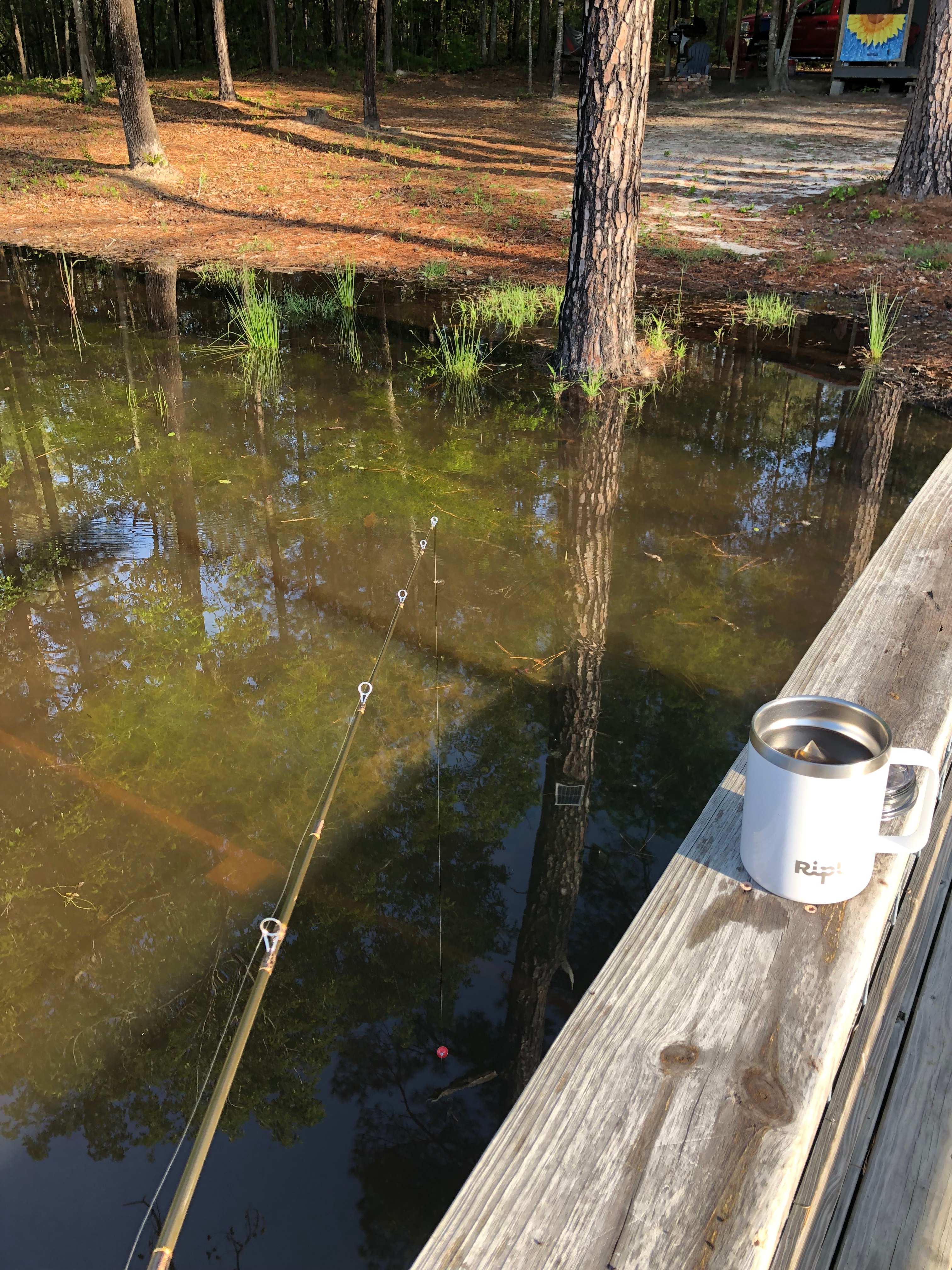 Fishing off dock 