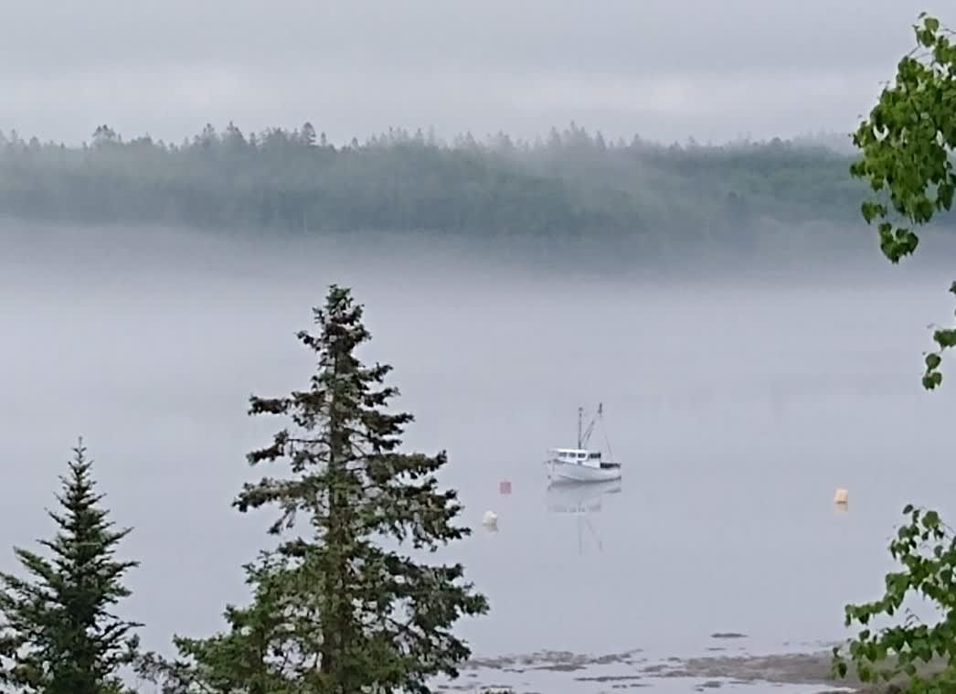 Elmer's Cove