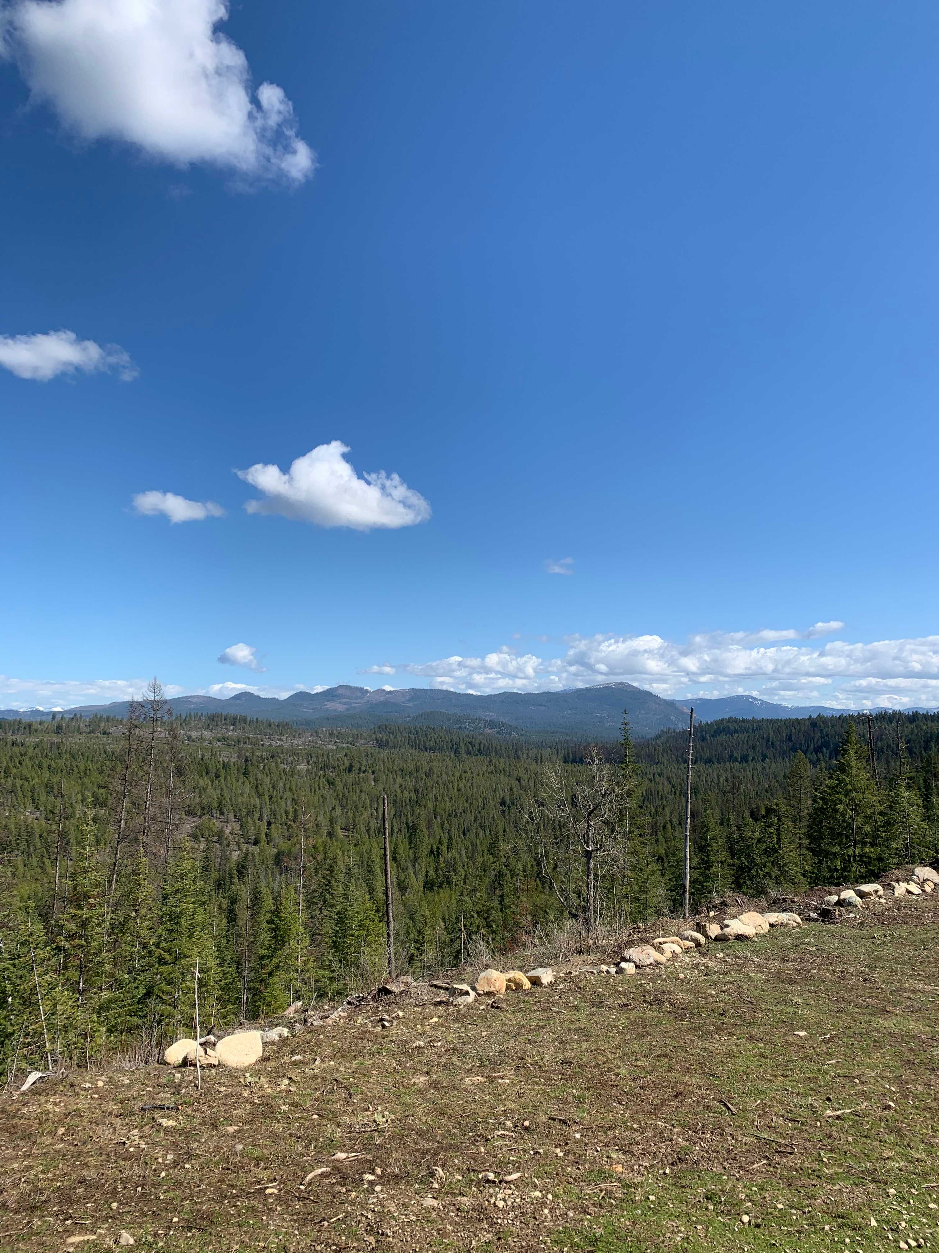 Mountain View Place