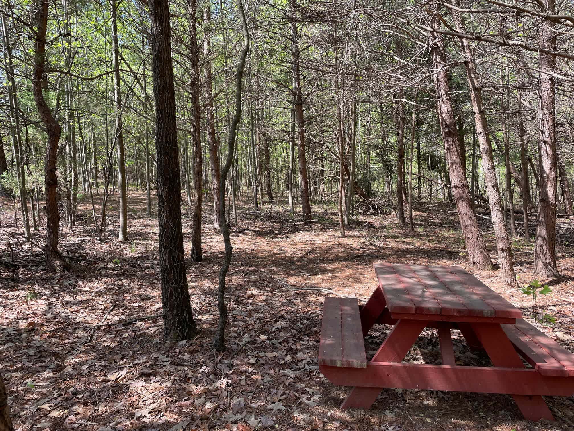 Labyrinth, Trails and Solitude