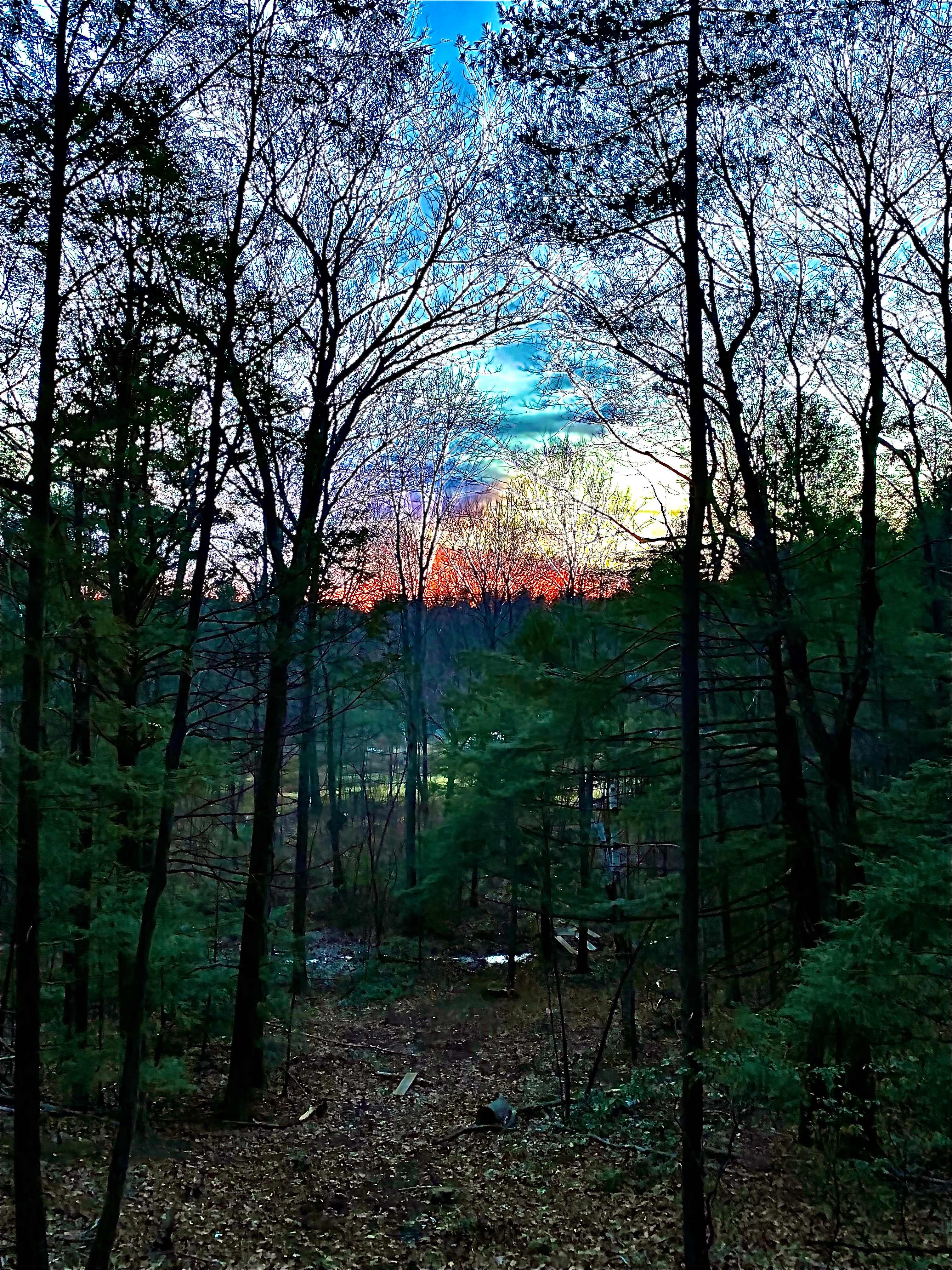 Hickory Ridge