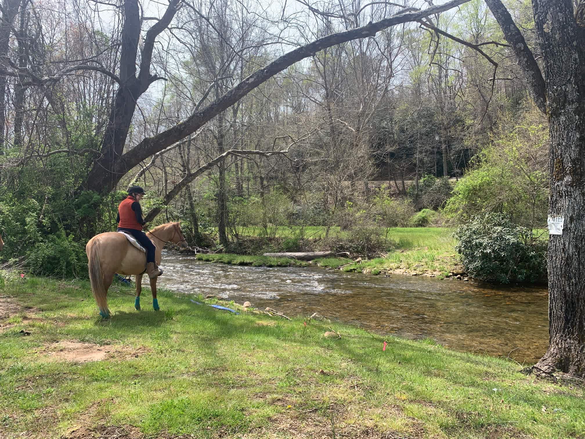 Beautiful calm river behind site -