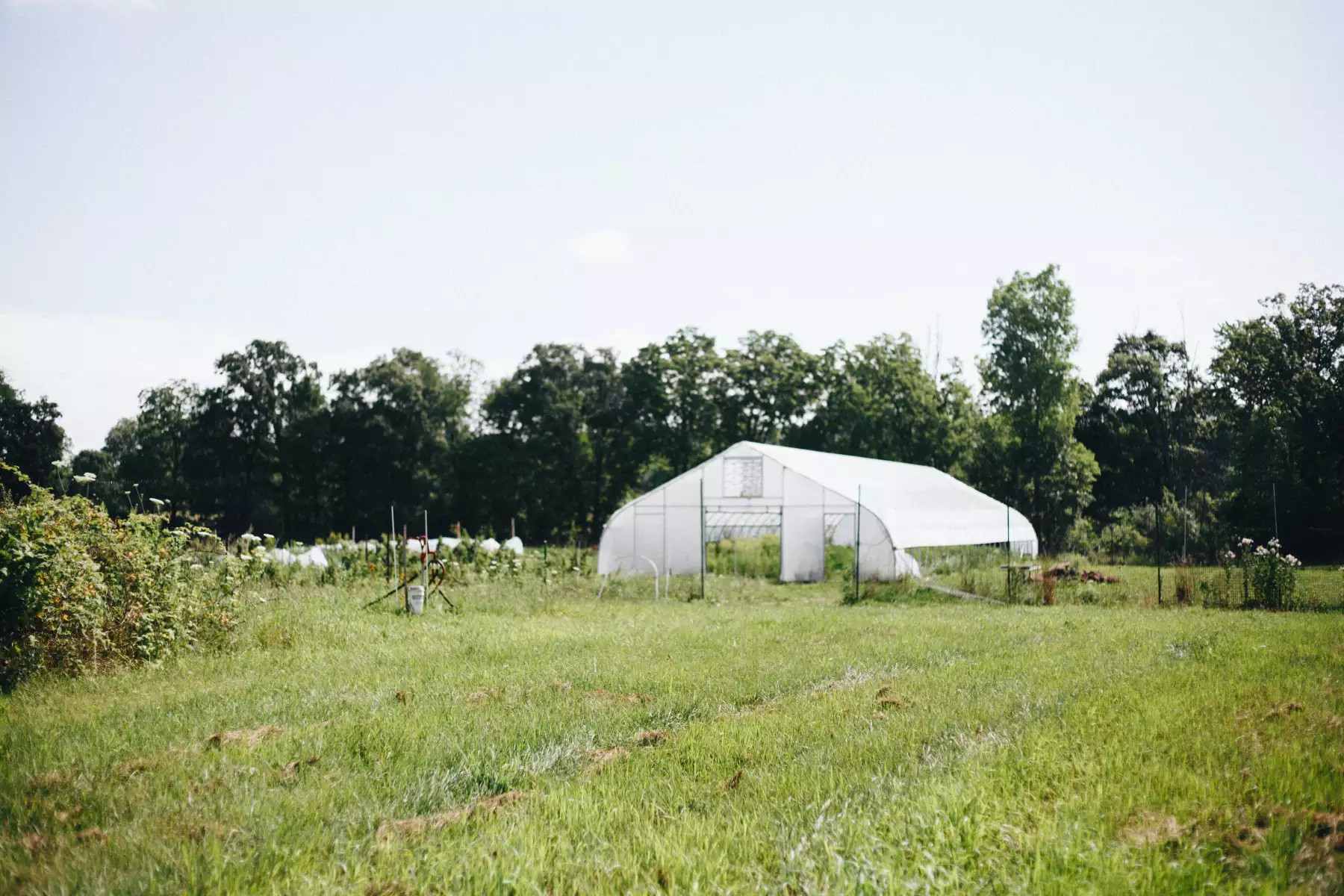 Secluded Nature & Nurture Farm