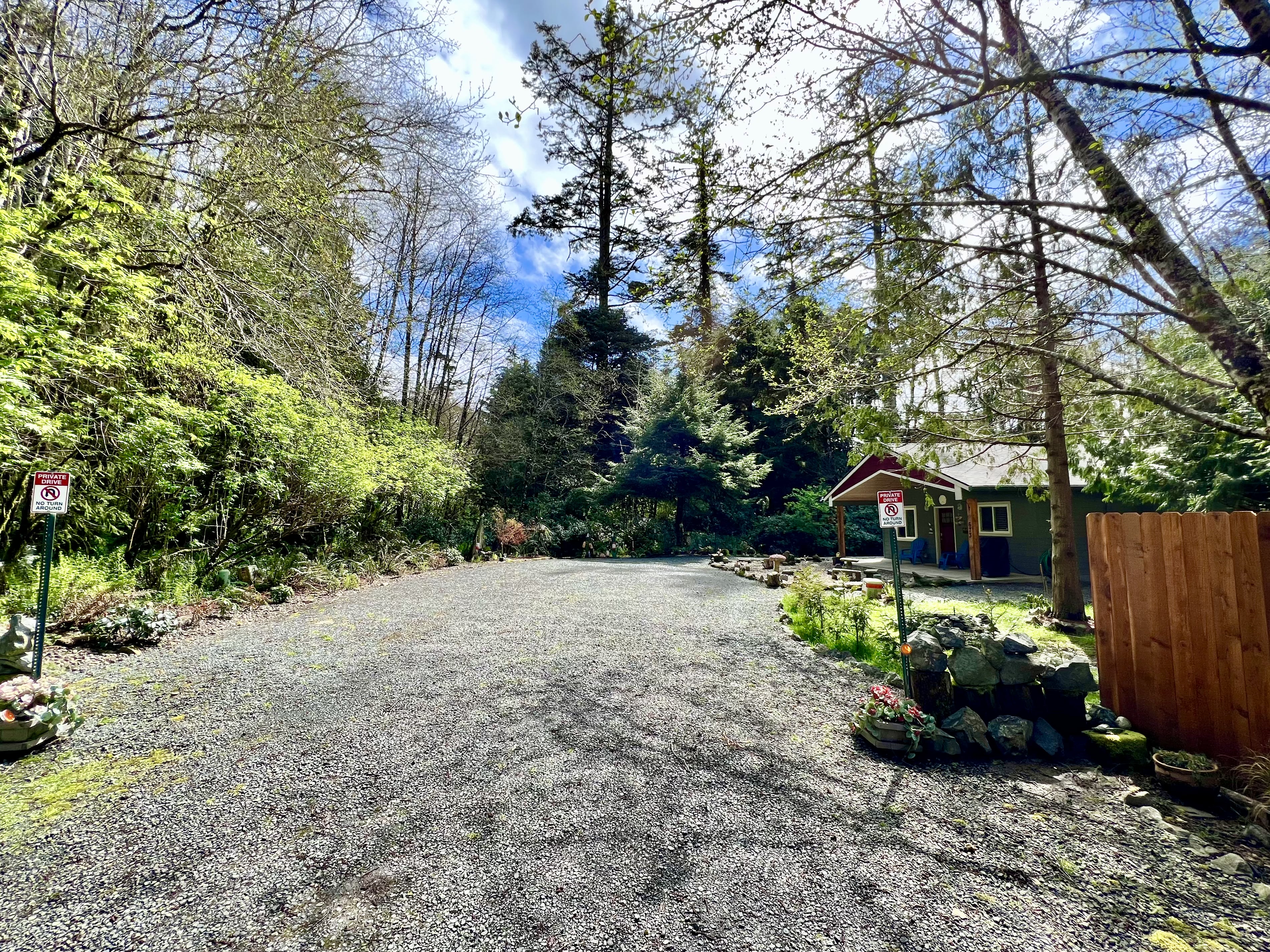 Property at end of dead end street, bordered by forest and hundred year old trees