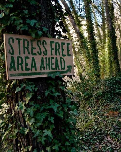 Artists Nature Retreat