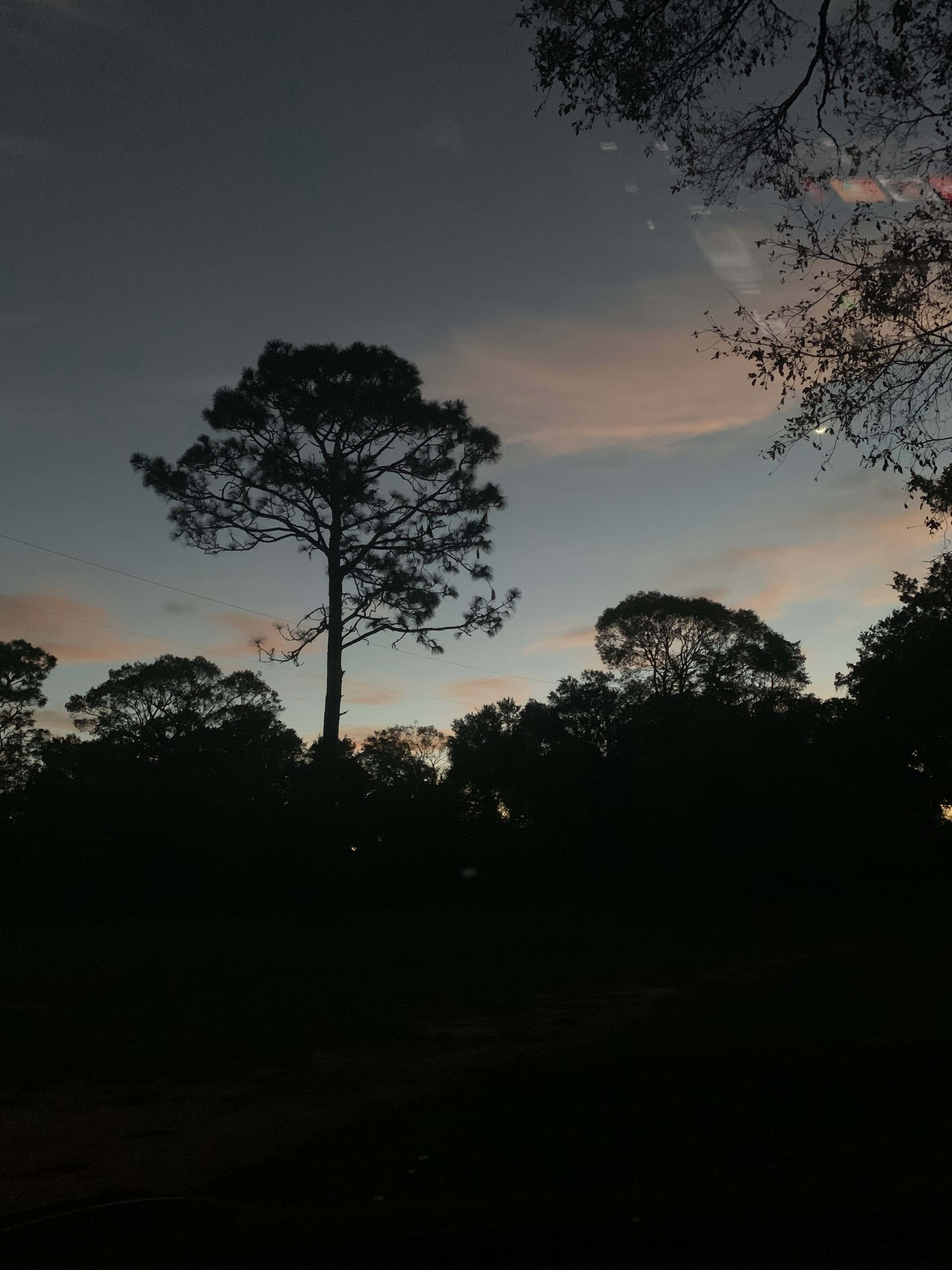 Back Farm Acres