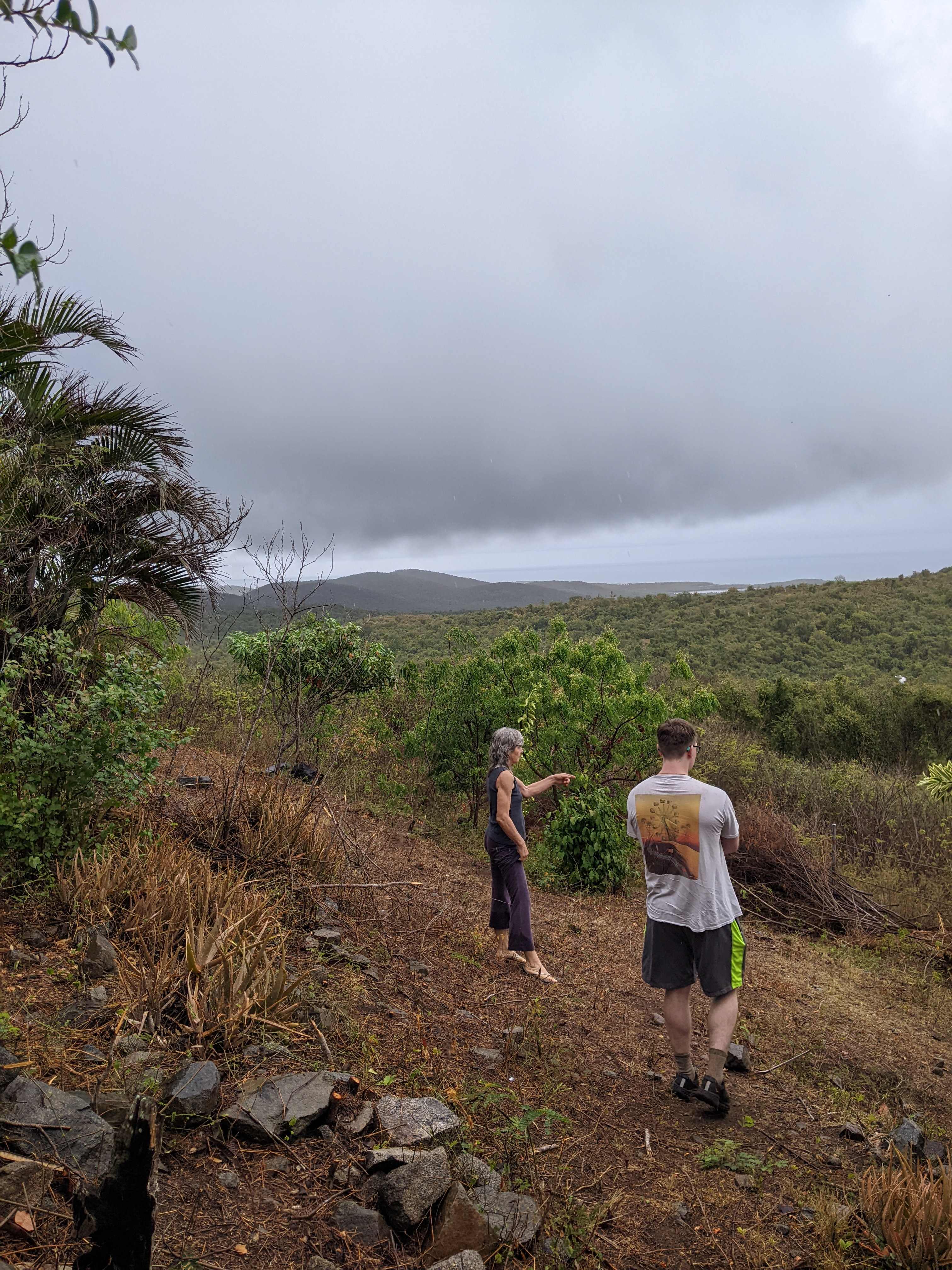 Maureen (host) shows us some of the fruit trees she's planted recently on the property