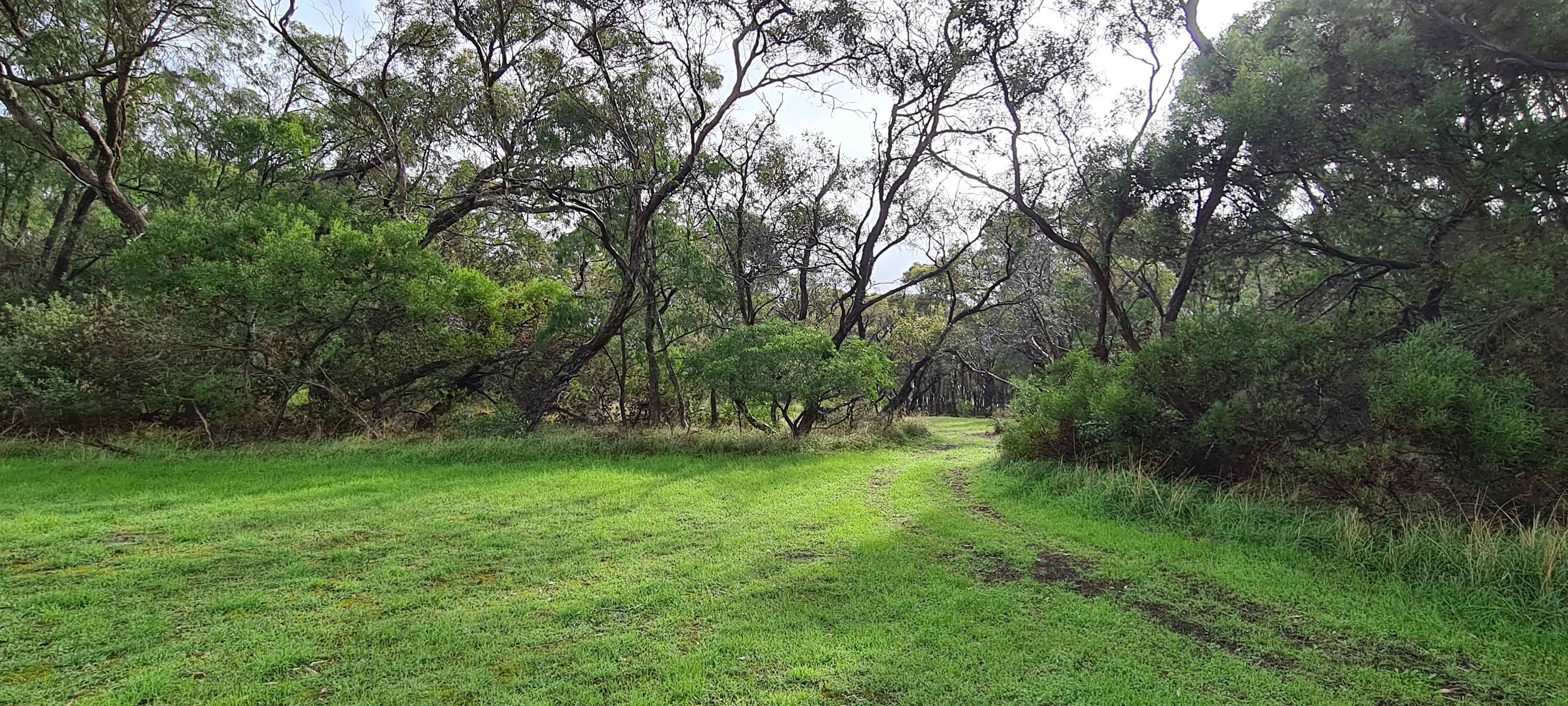 Toolibut Grove, a more secluded area to unwind away from the camp kitchen. Suitable for tents, rooftop tents, camper trailers and small campervans. 